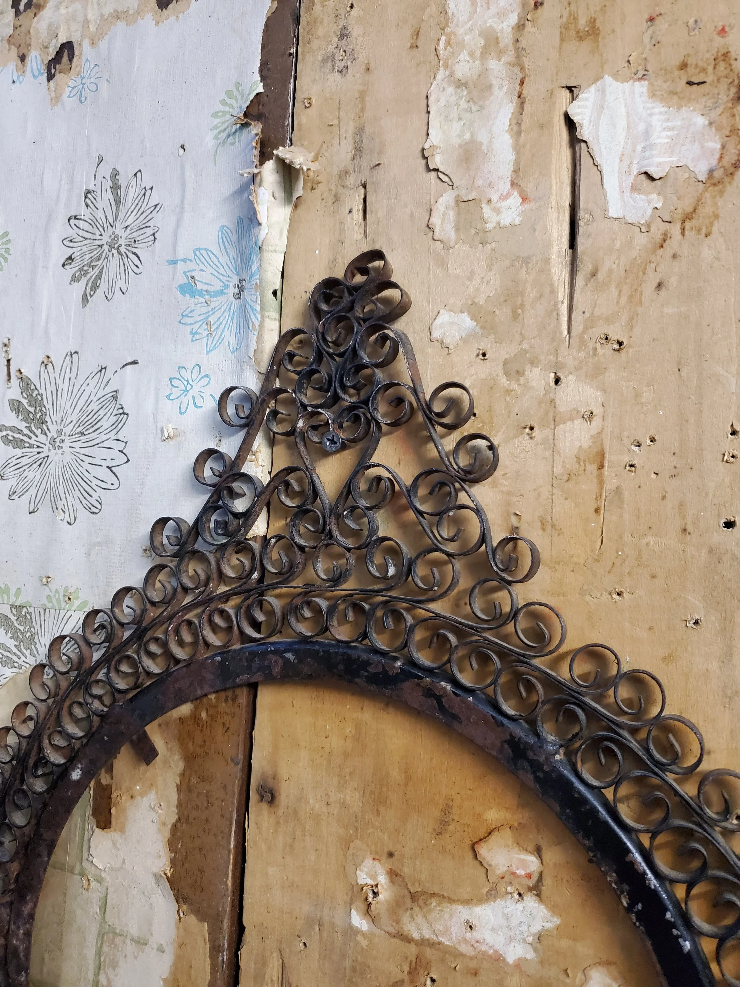 2026-02-24 17.09.43.jpg