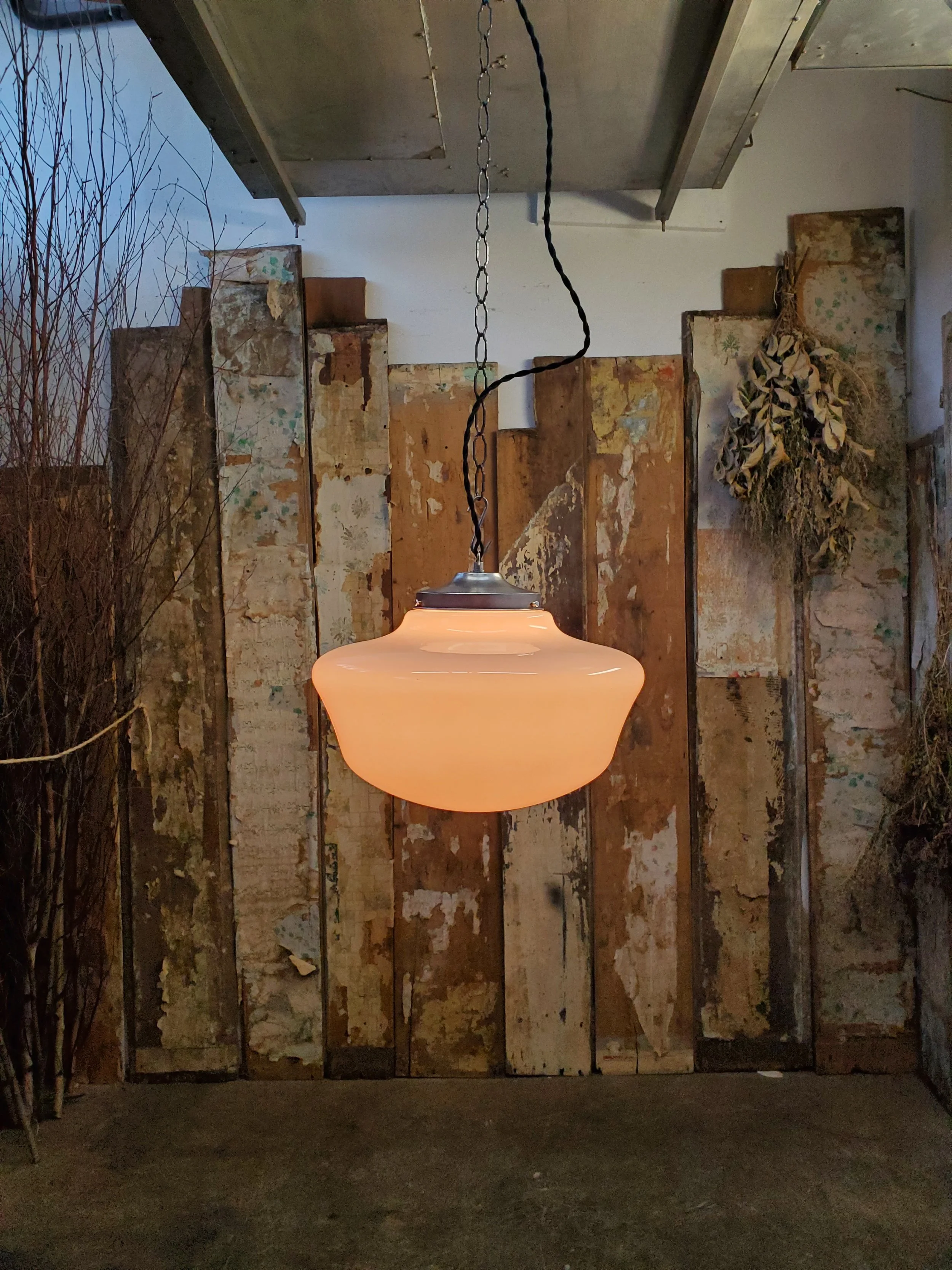 2026-02-19 12.33.22.jpg (copie)