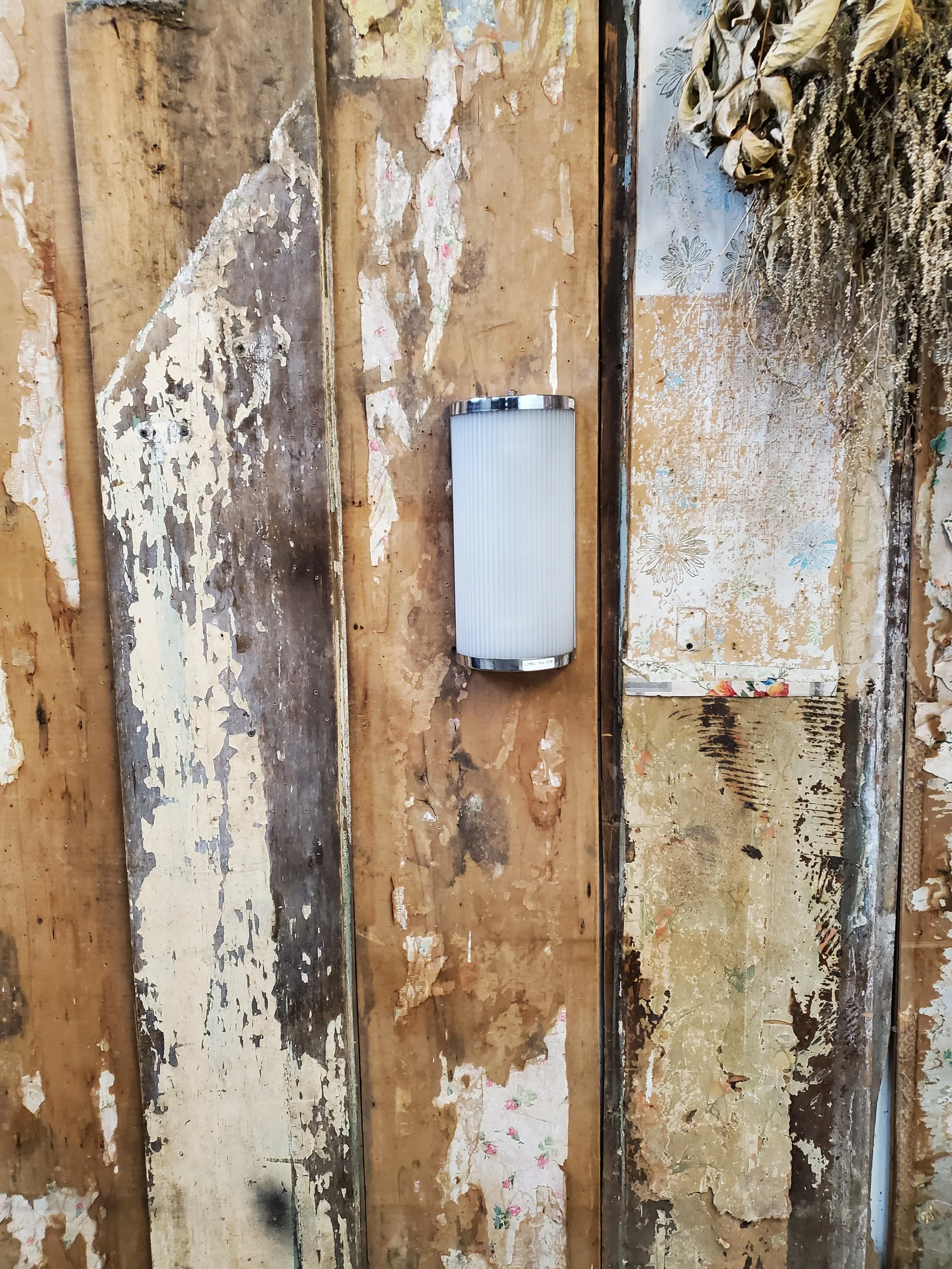 2026-02-26 14.08.45.jpg