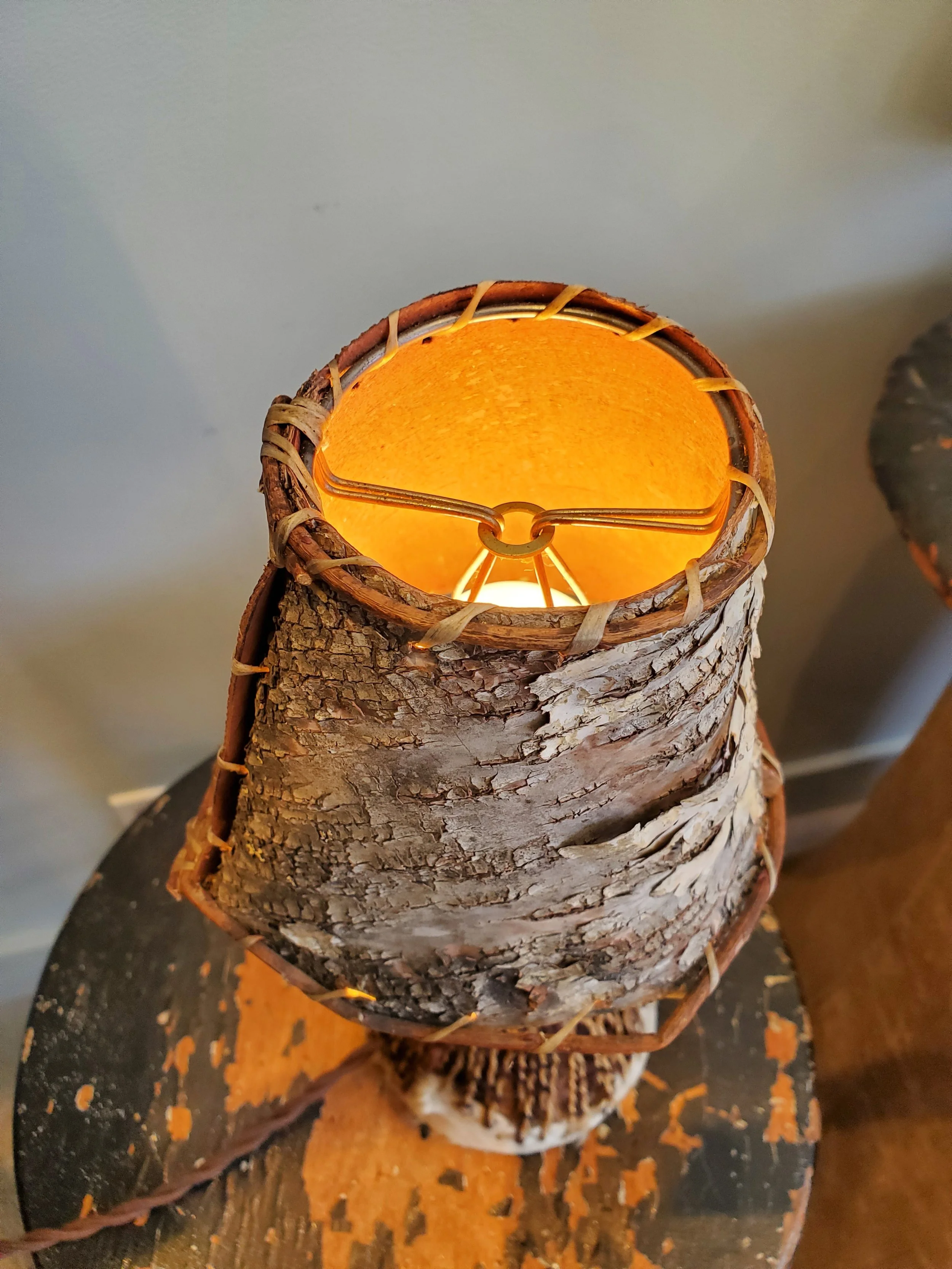 2026-02-15 12.39.38.jpg (copie)