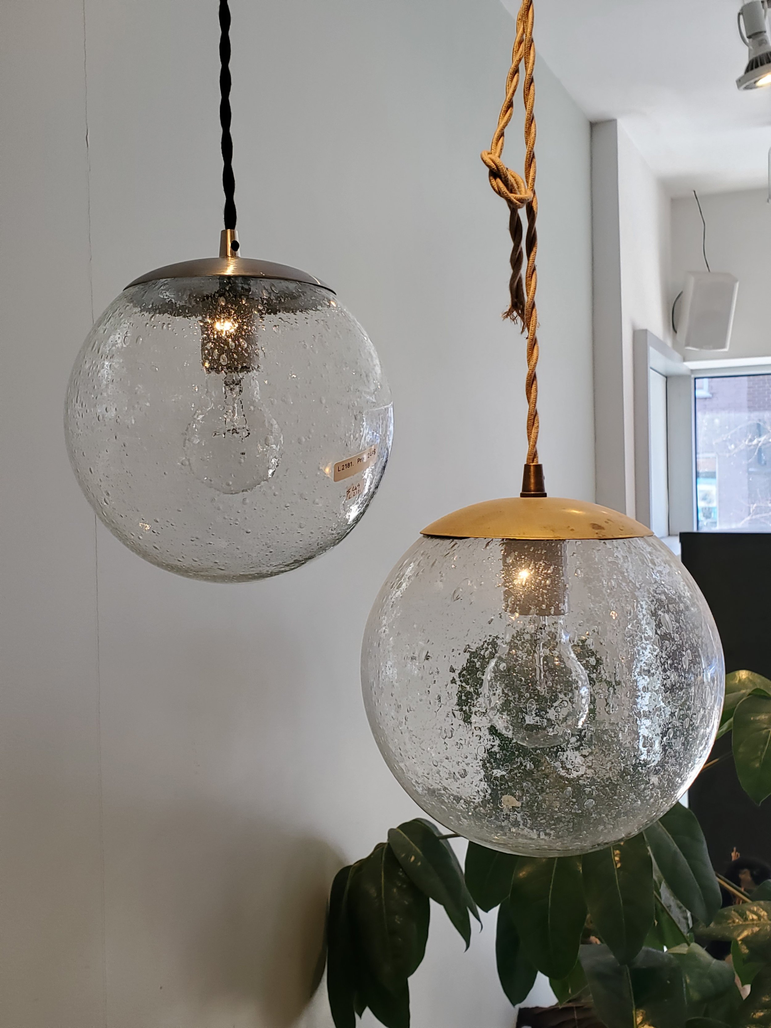 2026-02-15 12.25.57.jpg