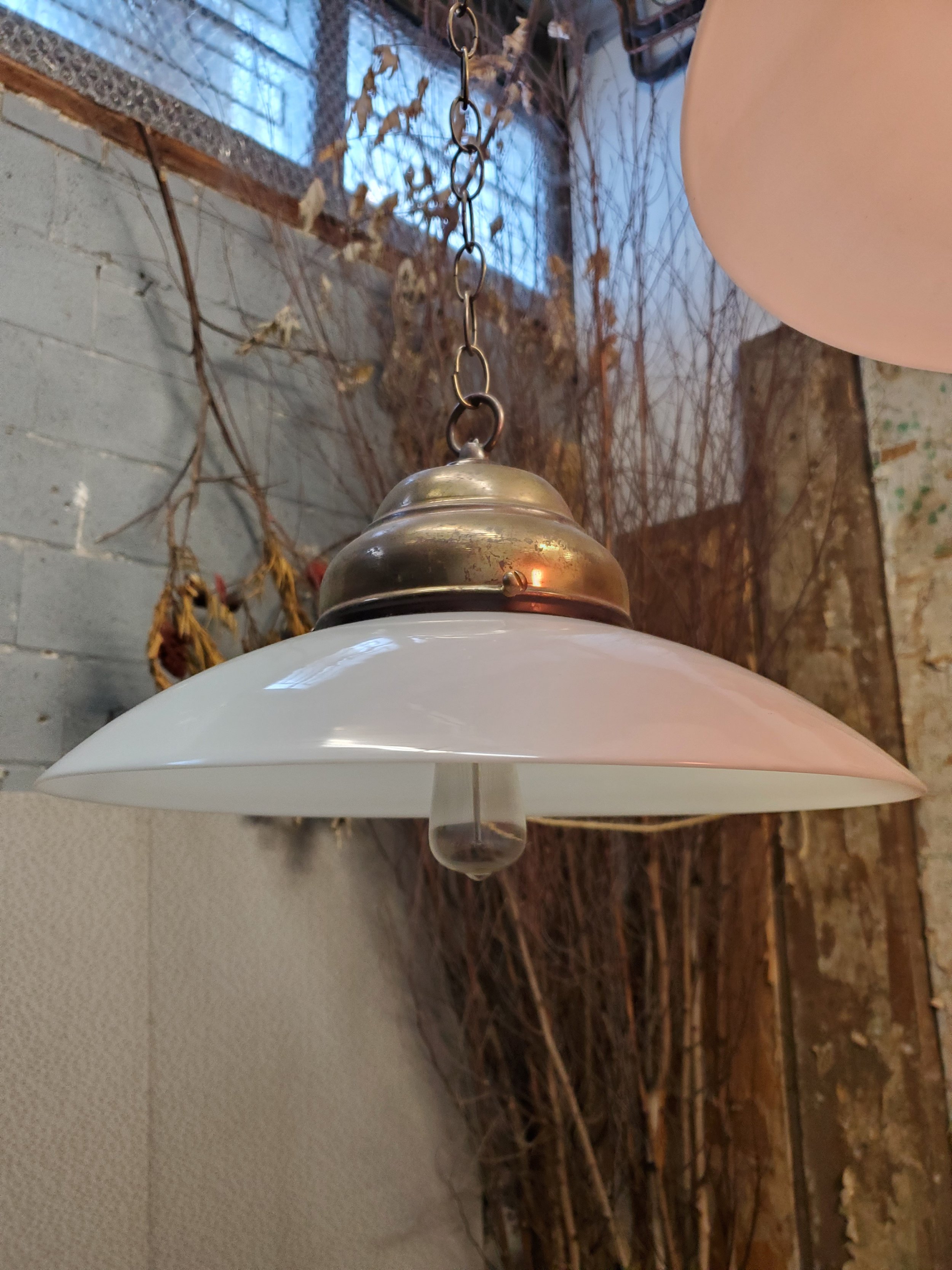 2026-02-26 16.15.08.jpg