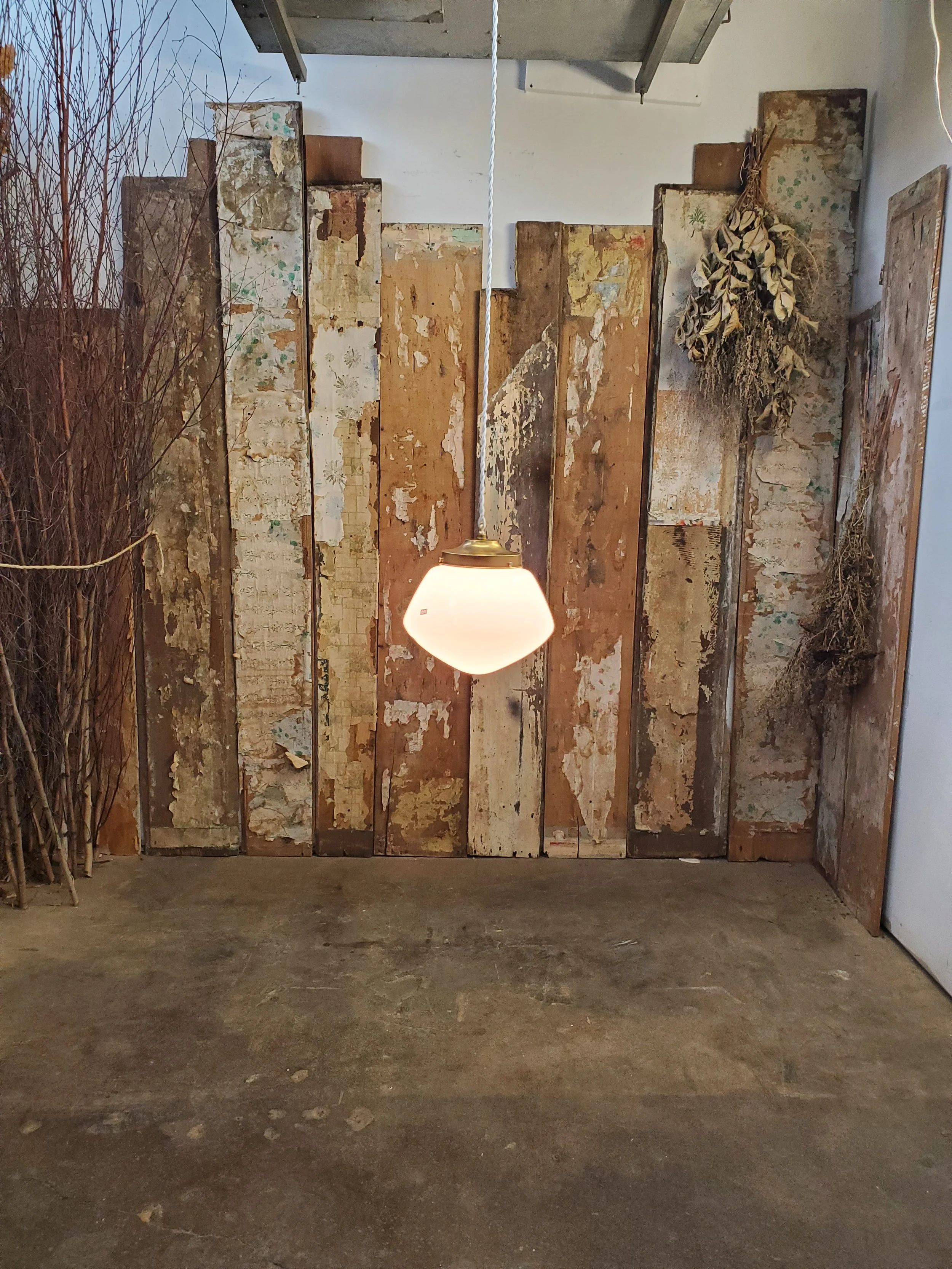 2026-02-16 14.29.45.jpg