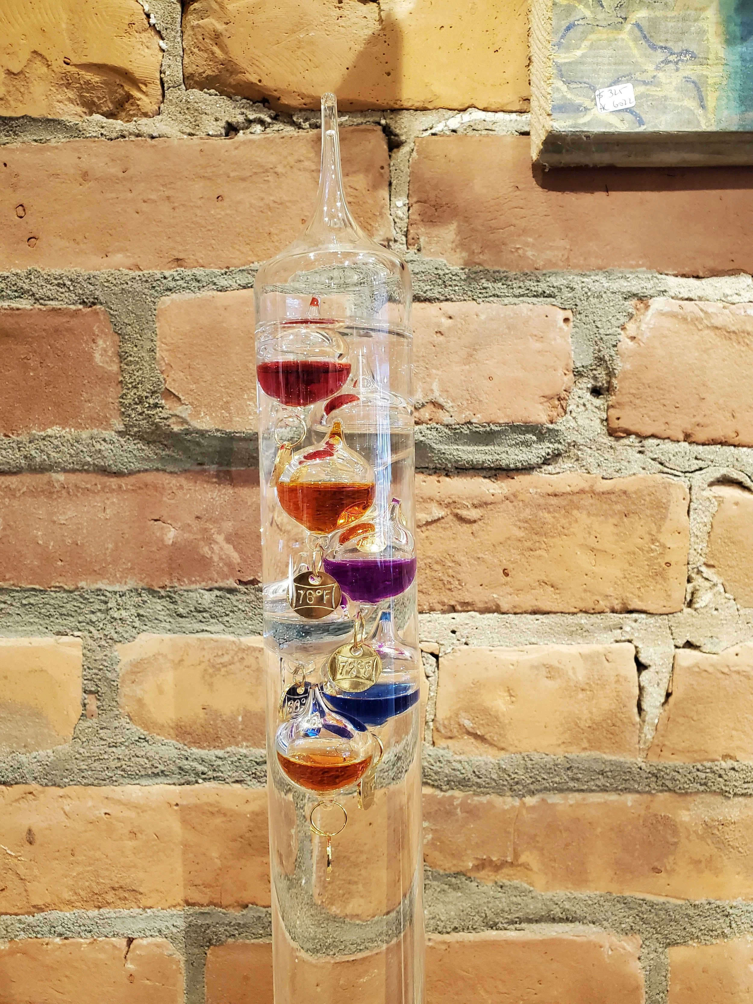 2026-02-11 11.46.21.jpg (copie)