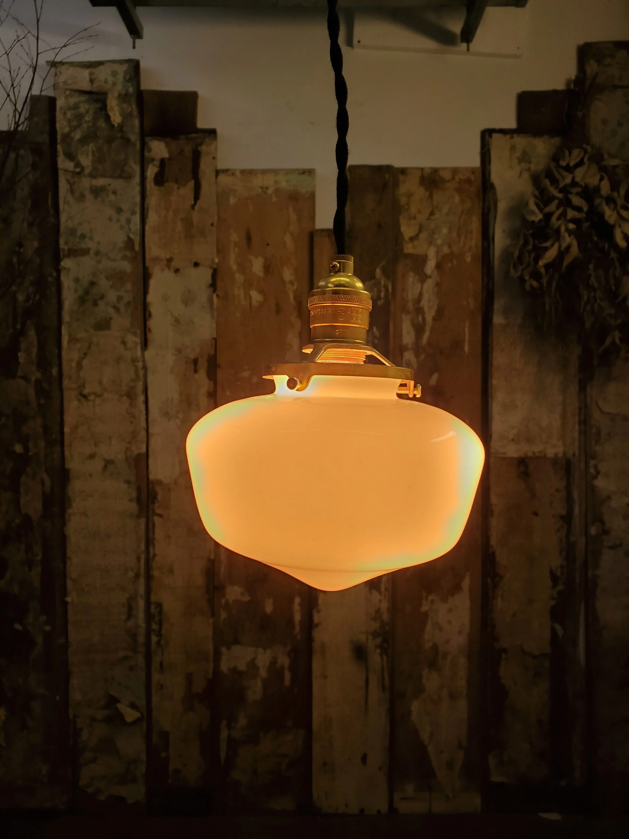 2026-02-17 10.07.34.jpg