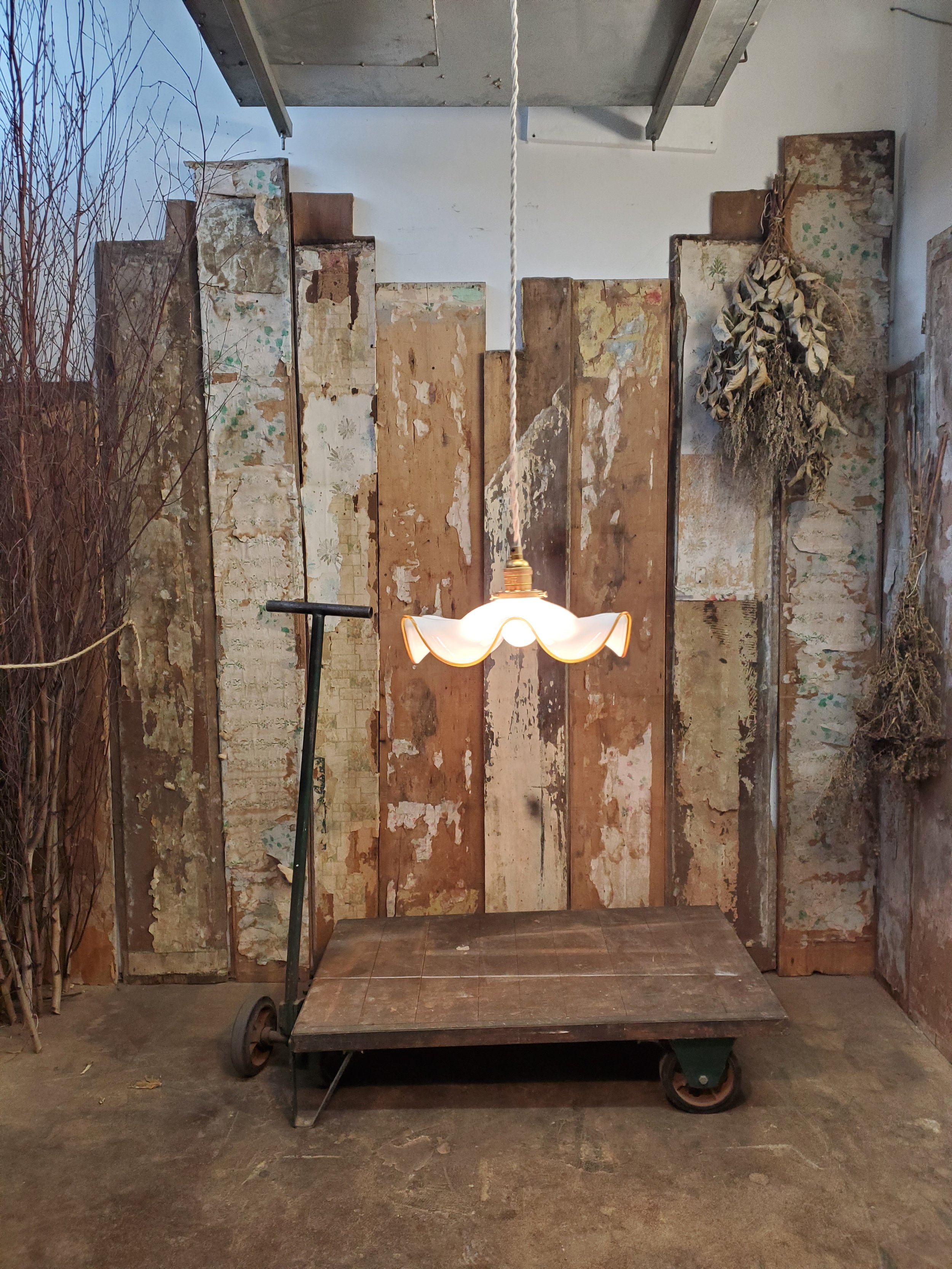 2026-01-23 15.11.06.jpg (copie)