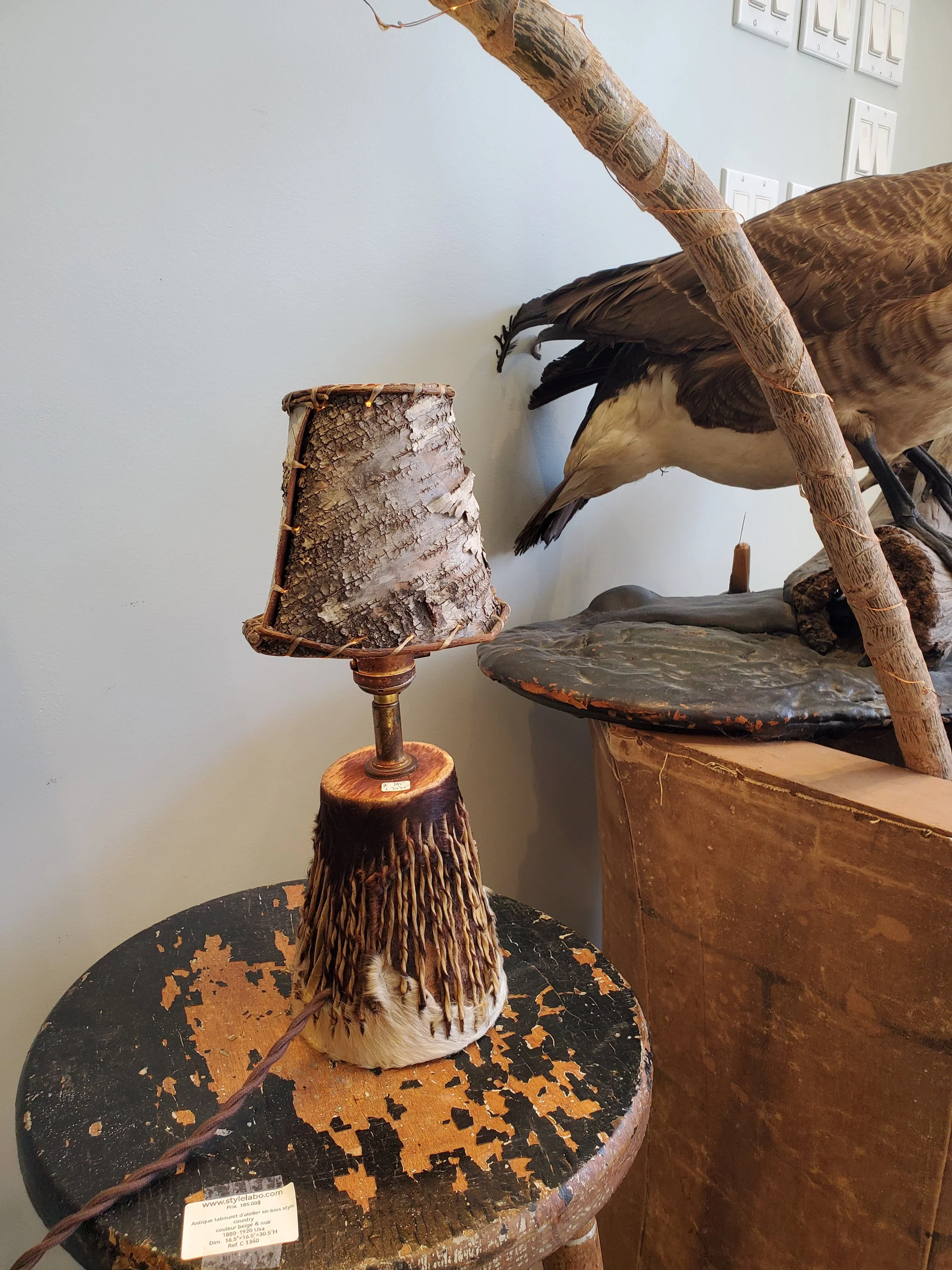 2026-02-15 12.39.34.jpg (copie)