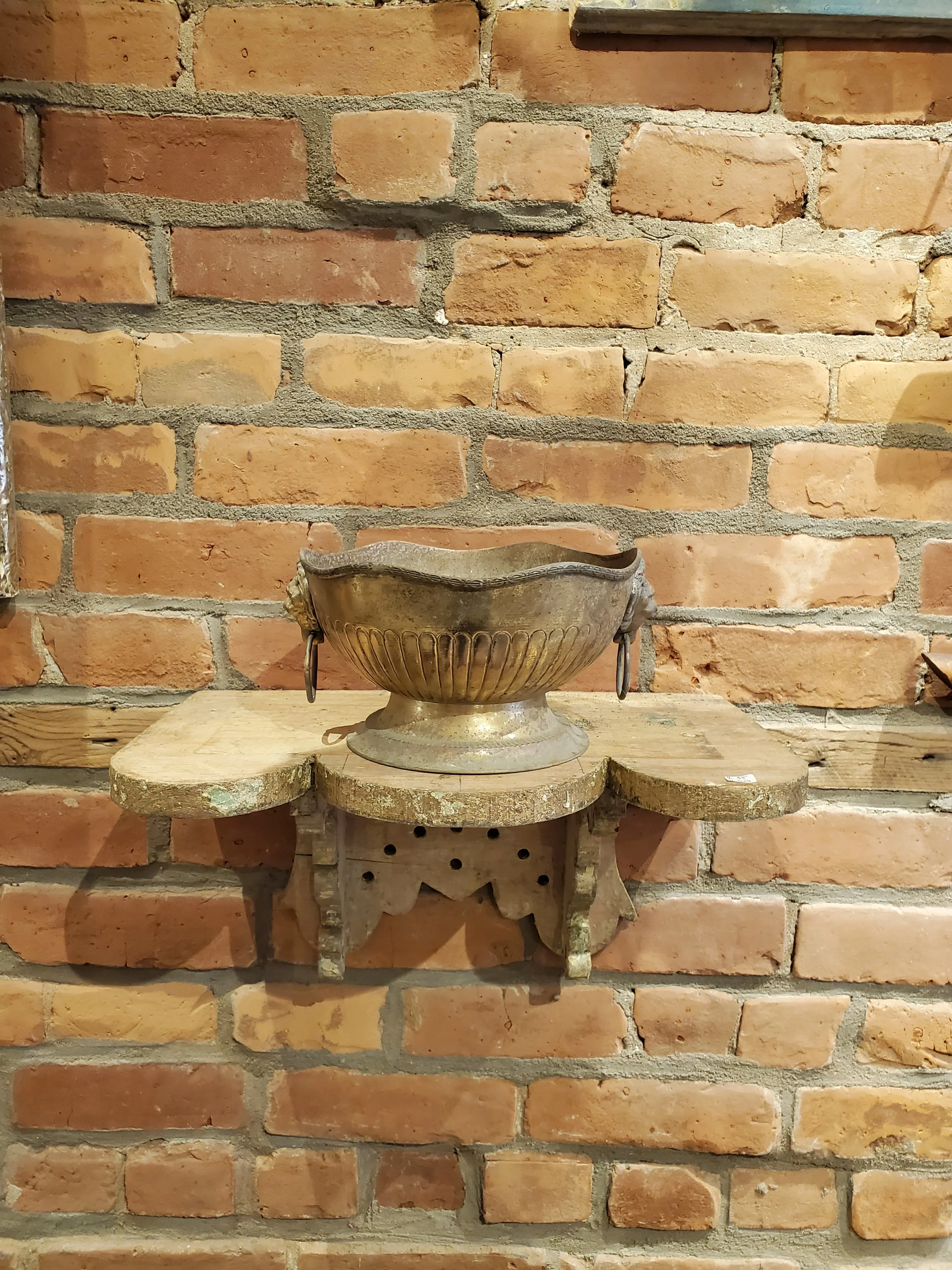 2026-02-11 12.30.00.jpg