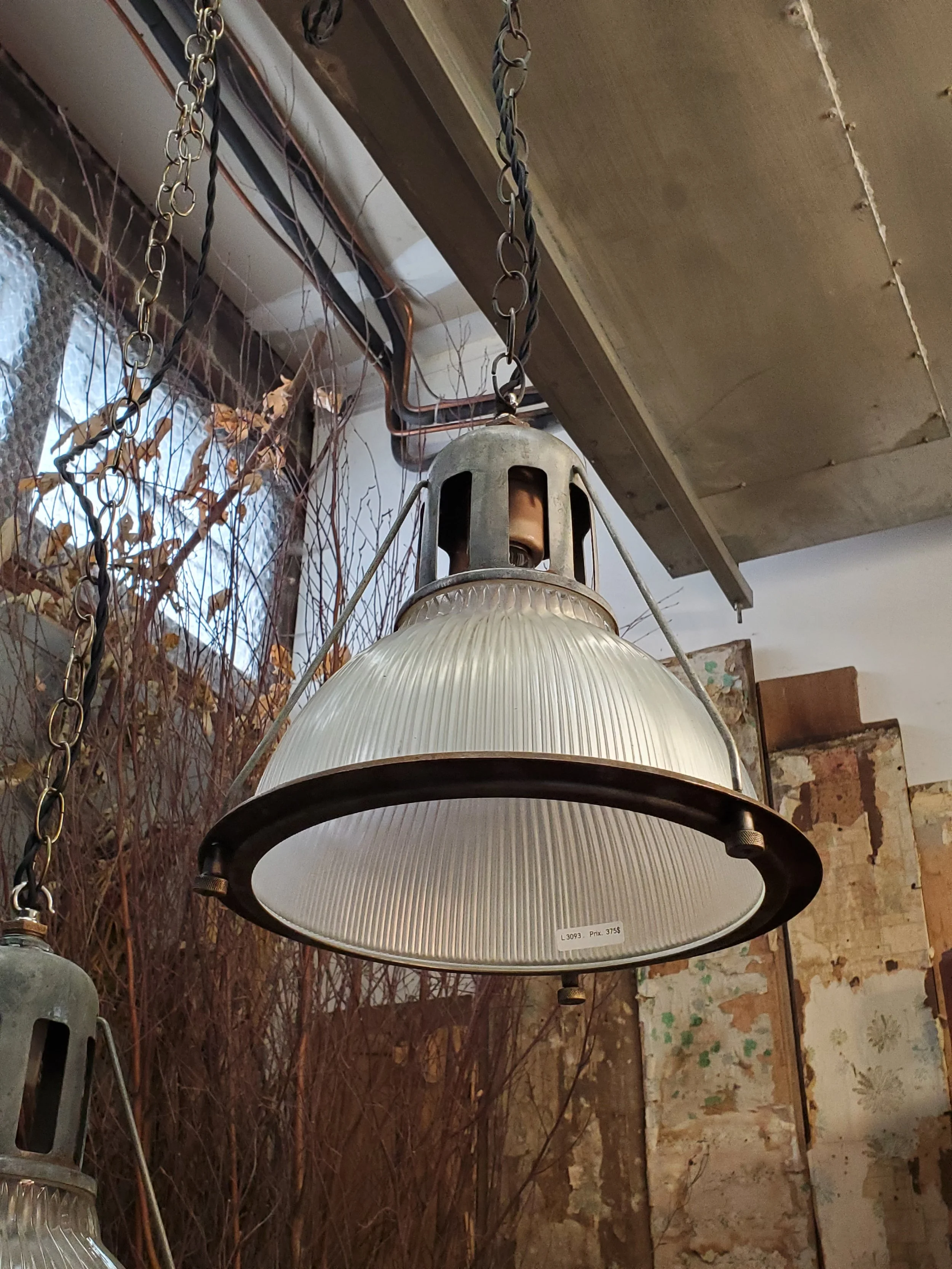 2026-03-12 15.01.05.jpg (copie)