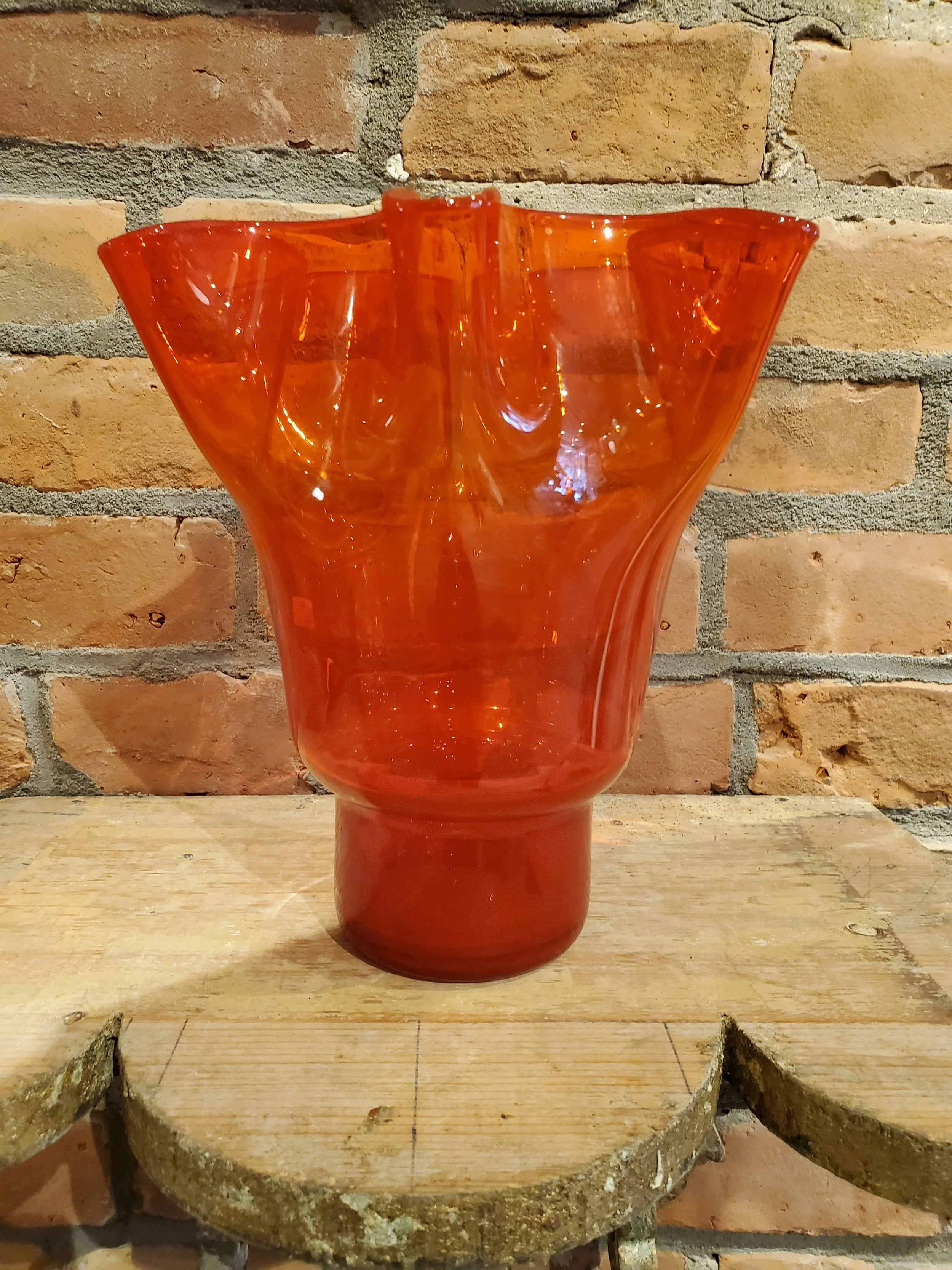 2026-02-11 11.47.31.jpg