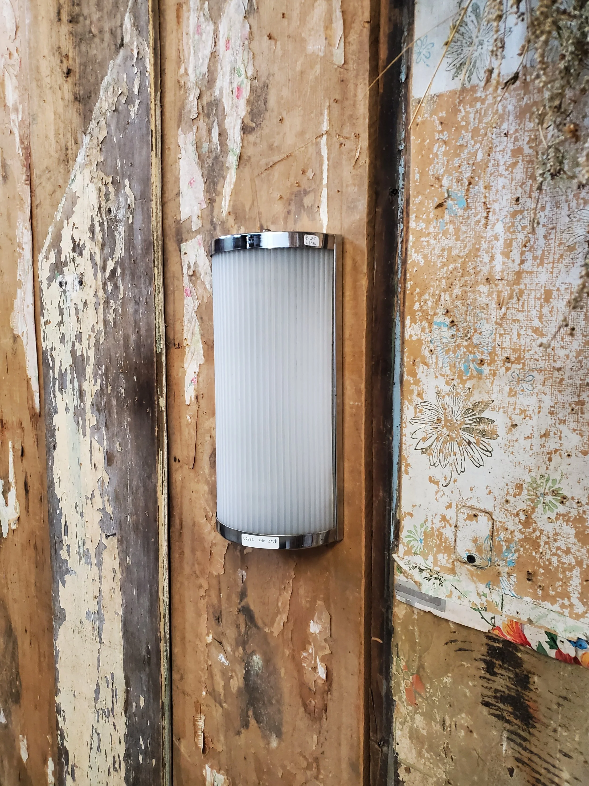 2026-02-26 14.08.53.jpg