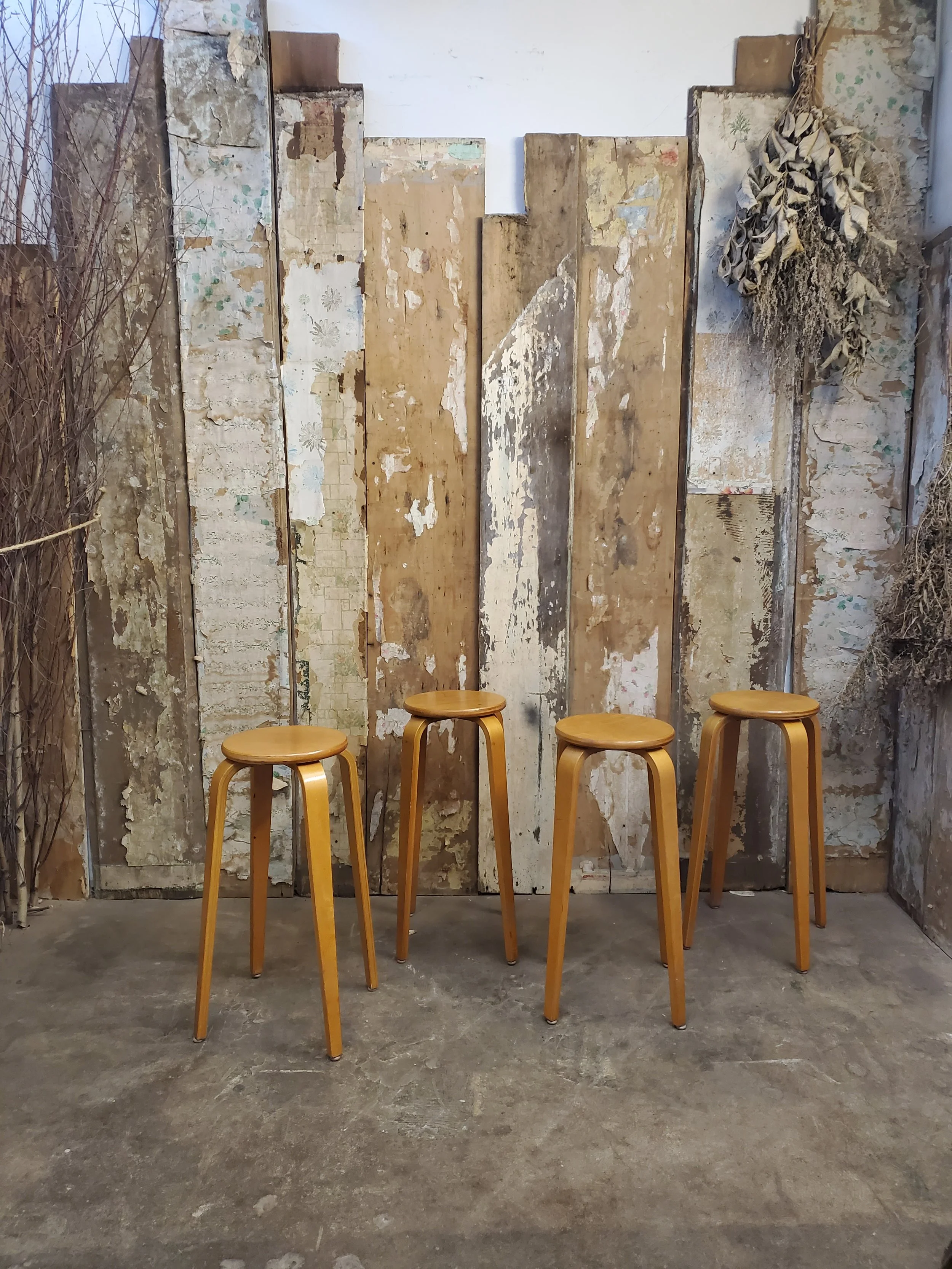 Tabouret de laboratoire en plywood vintage C 1468