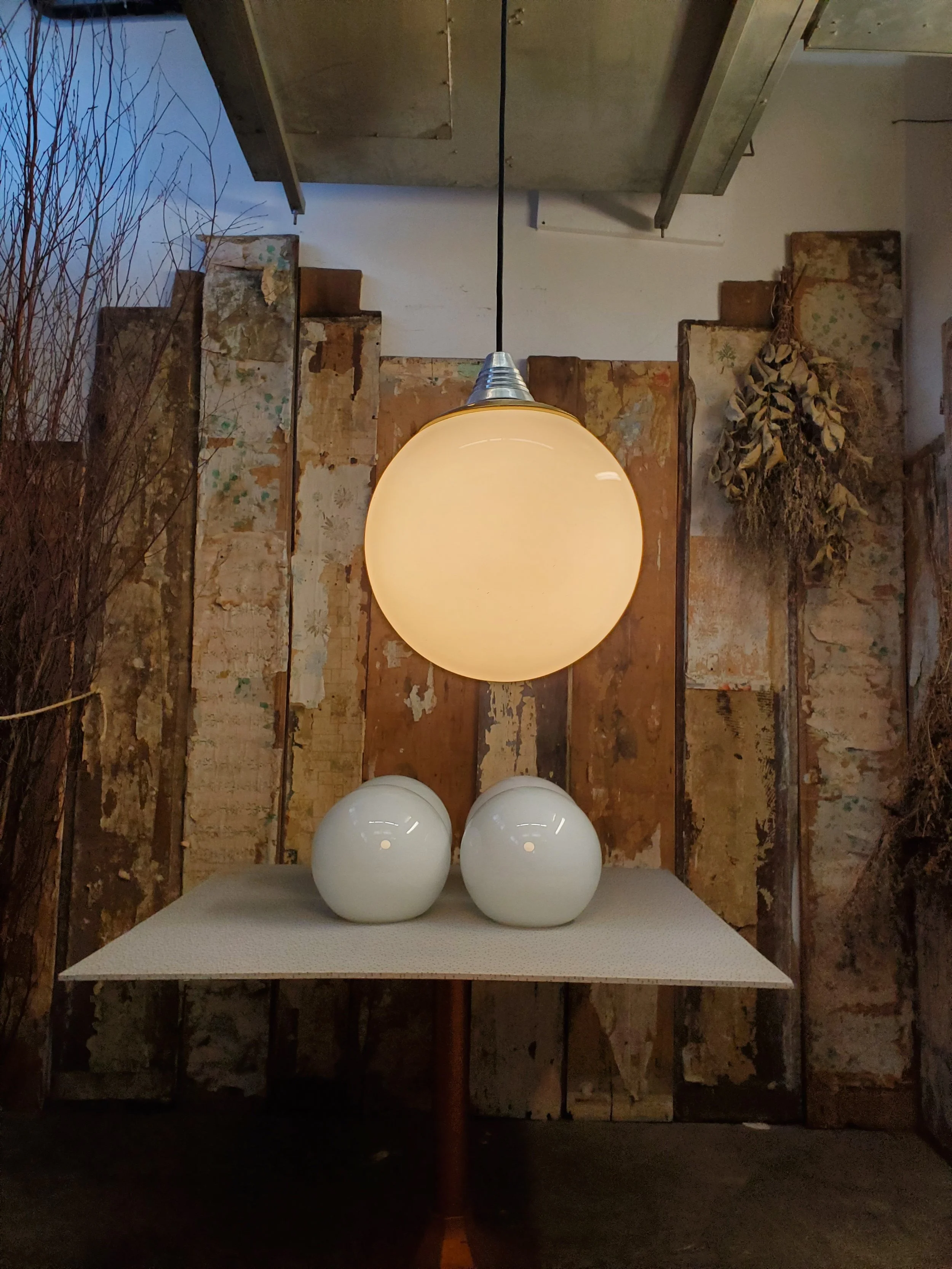 2026-02-24 14.43.42.jpg