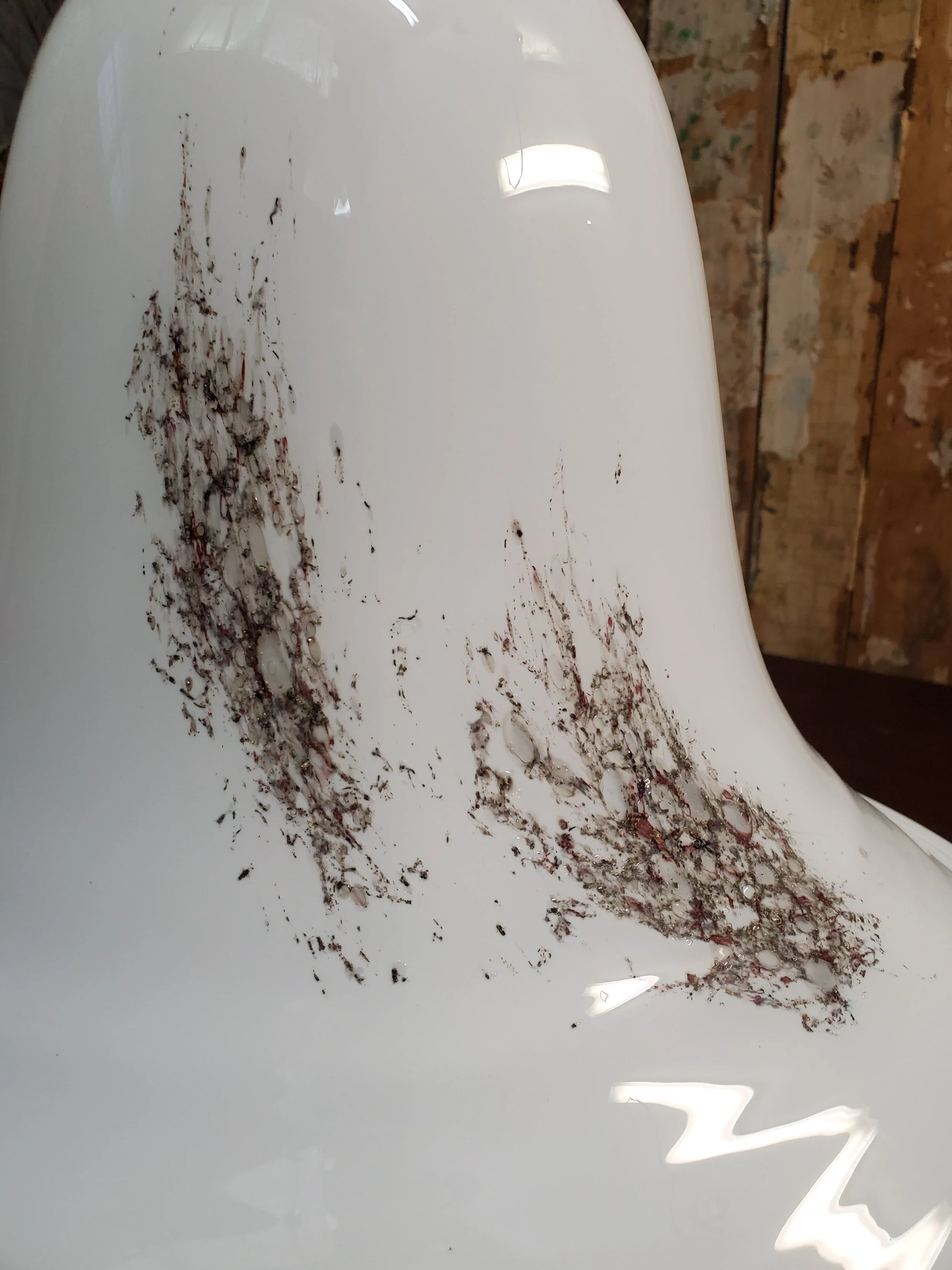 2025-12-24 16.09.18.jpg