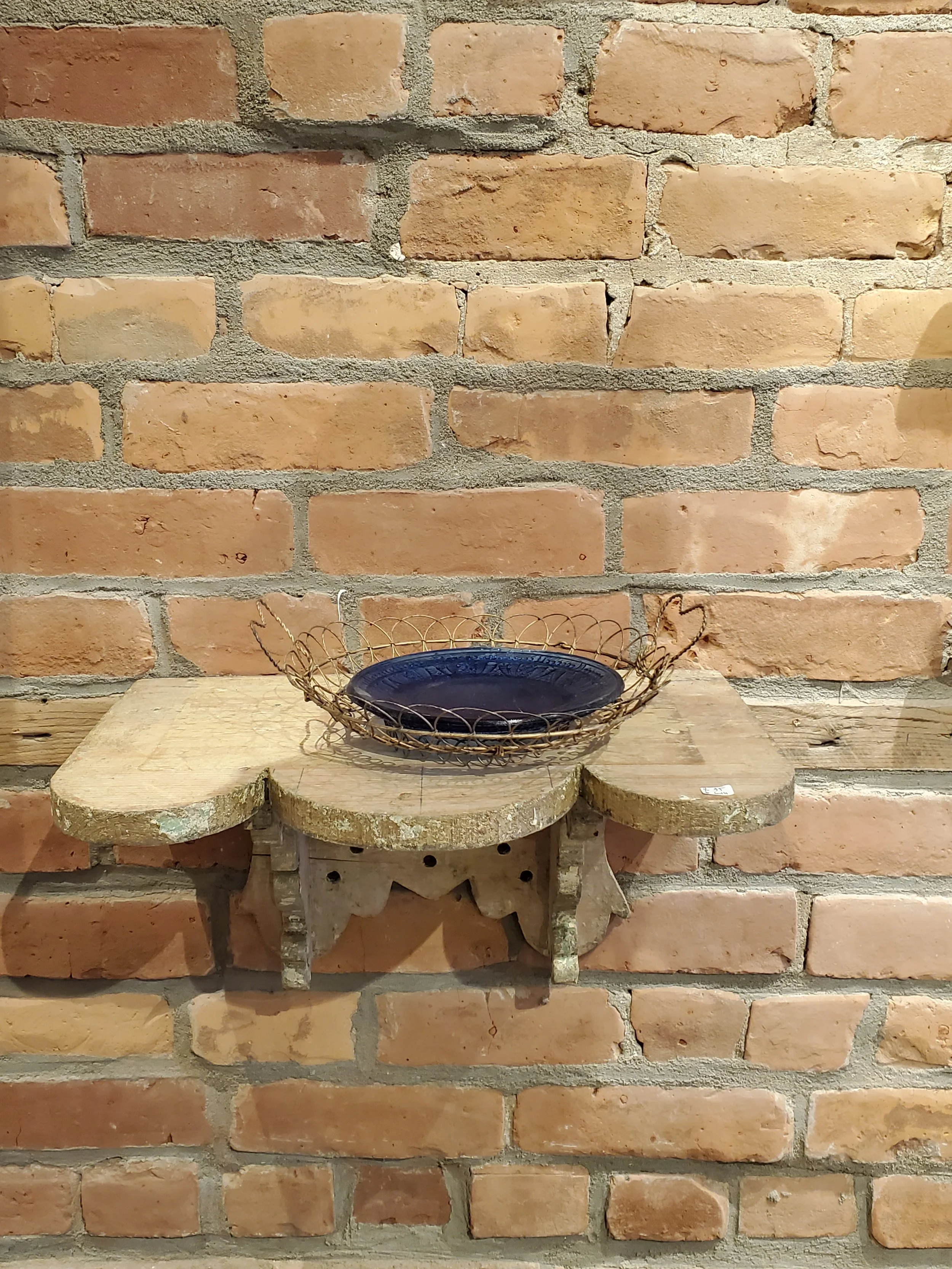 2026-02-11 11.44.23.jpg