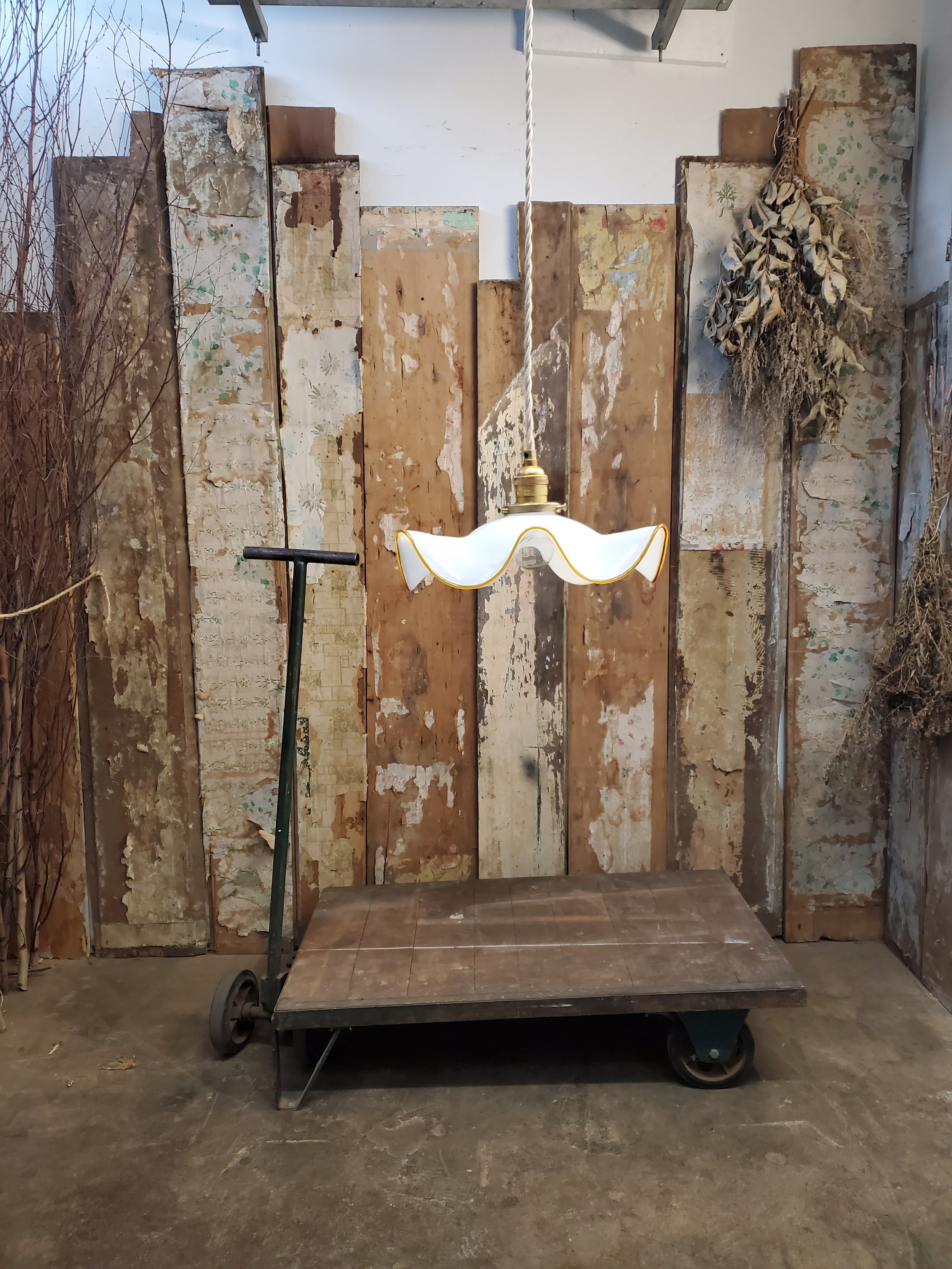 2026-01-23 15.11.38.jpg (copie)