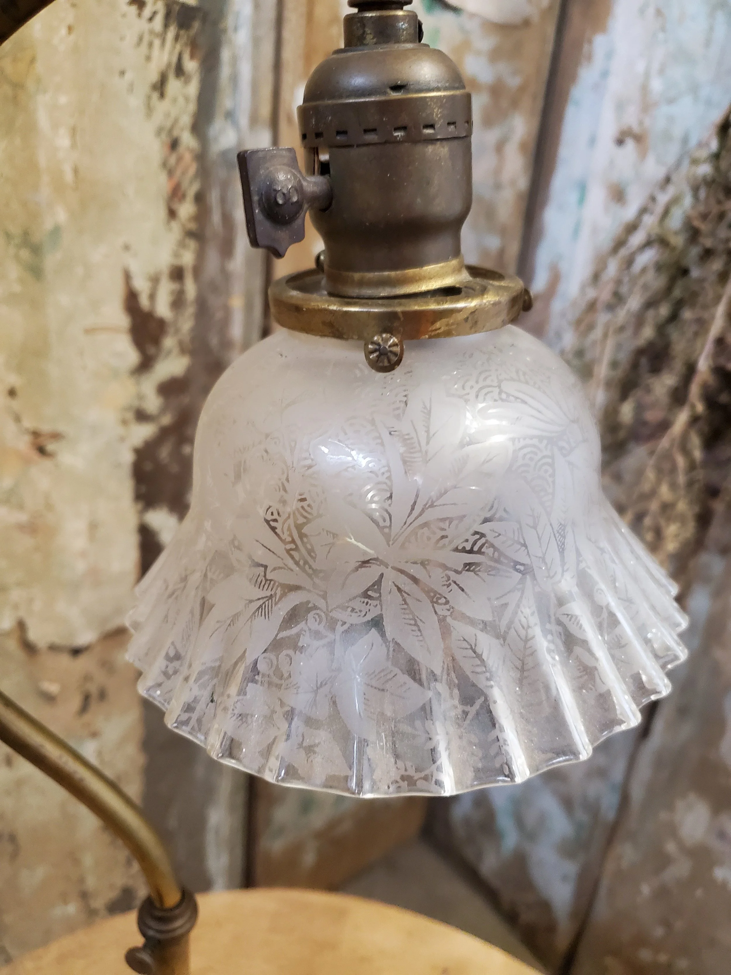 2026-04-05 12.09.04.jpg