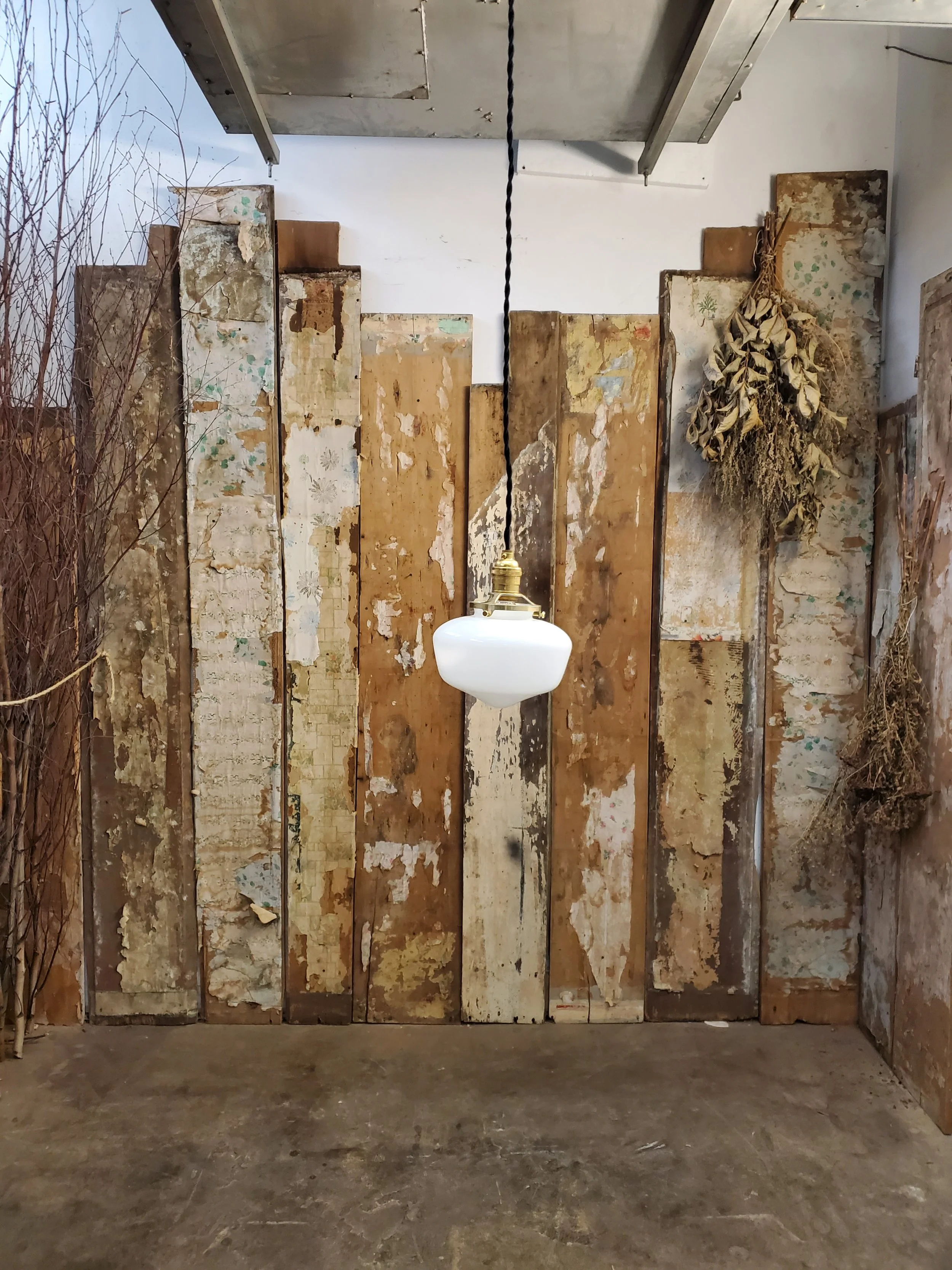 2026-02-17 10.07.51.jpg