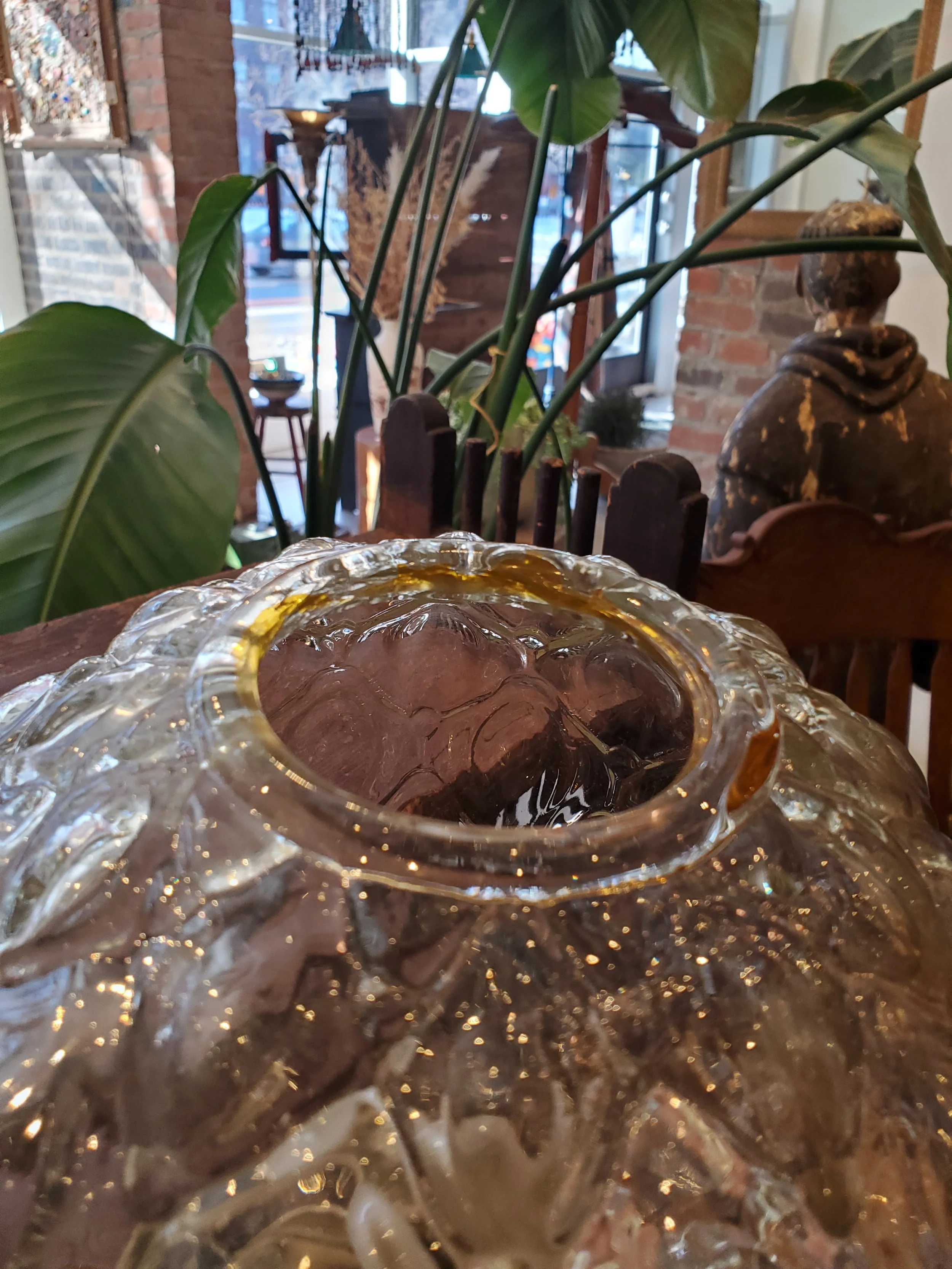 2026-02-15 12.01.00.jpg (copie)