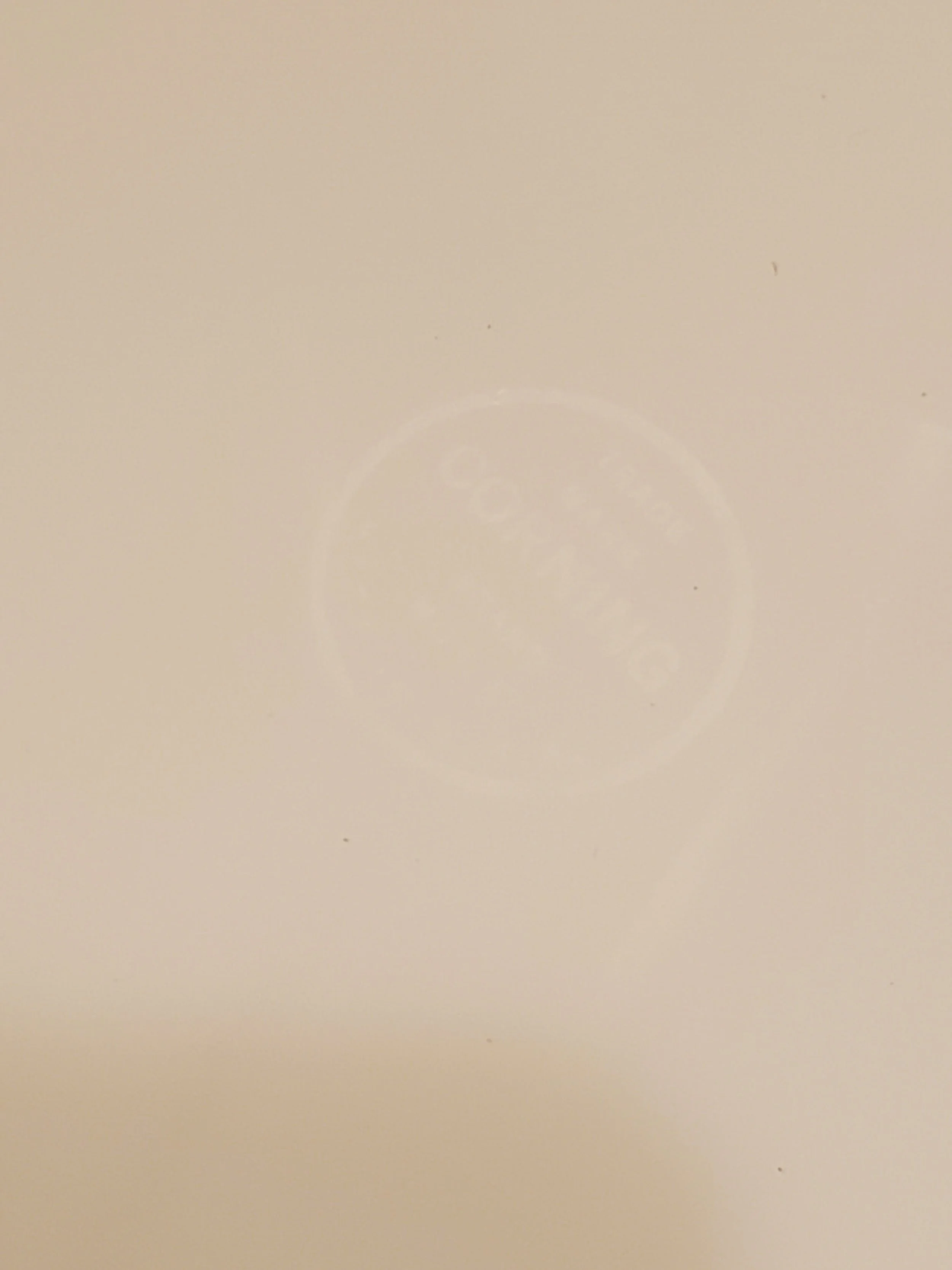 2026-02-19 13.08.03.jpg (copie)