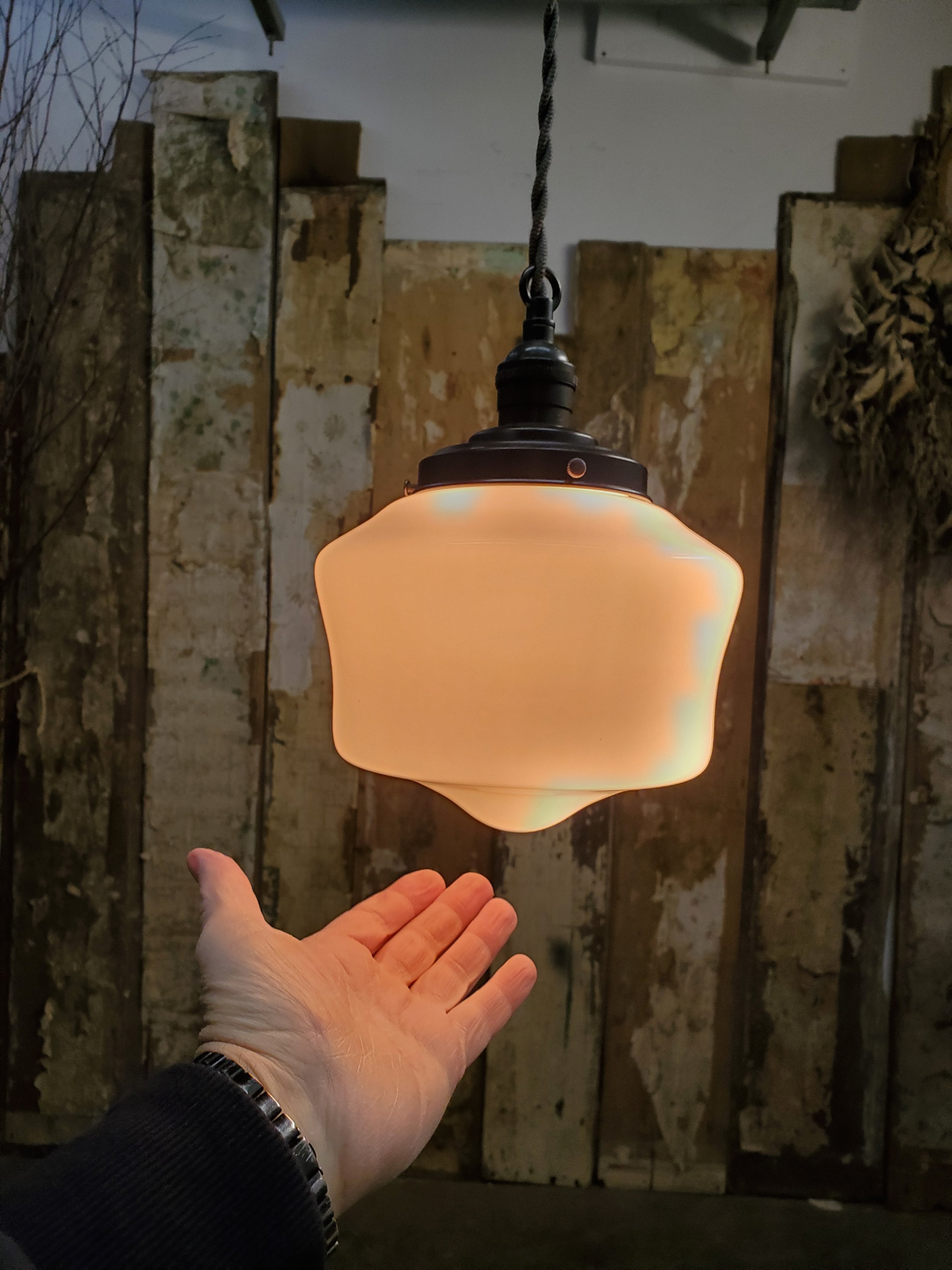 2026-02-17 10.13.18.jpg