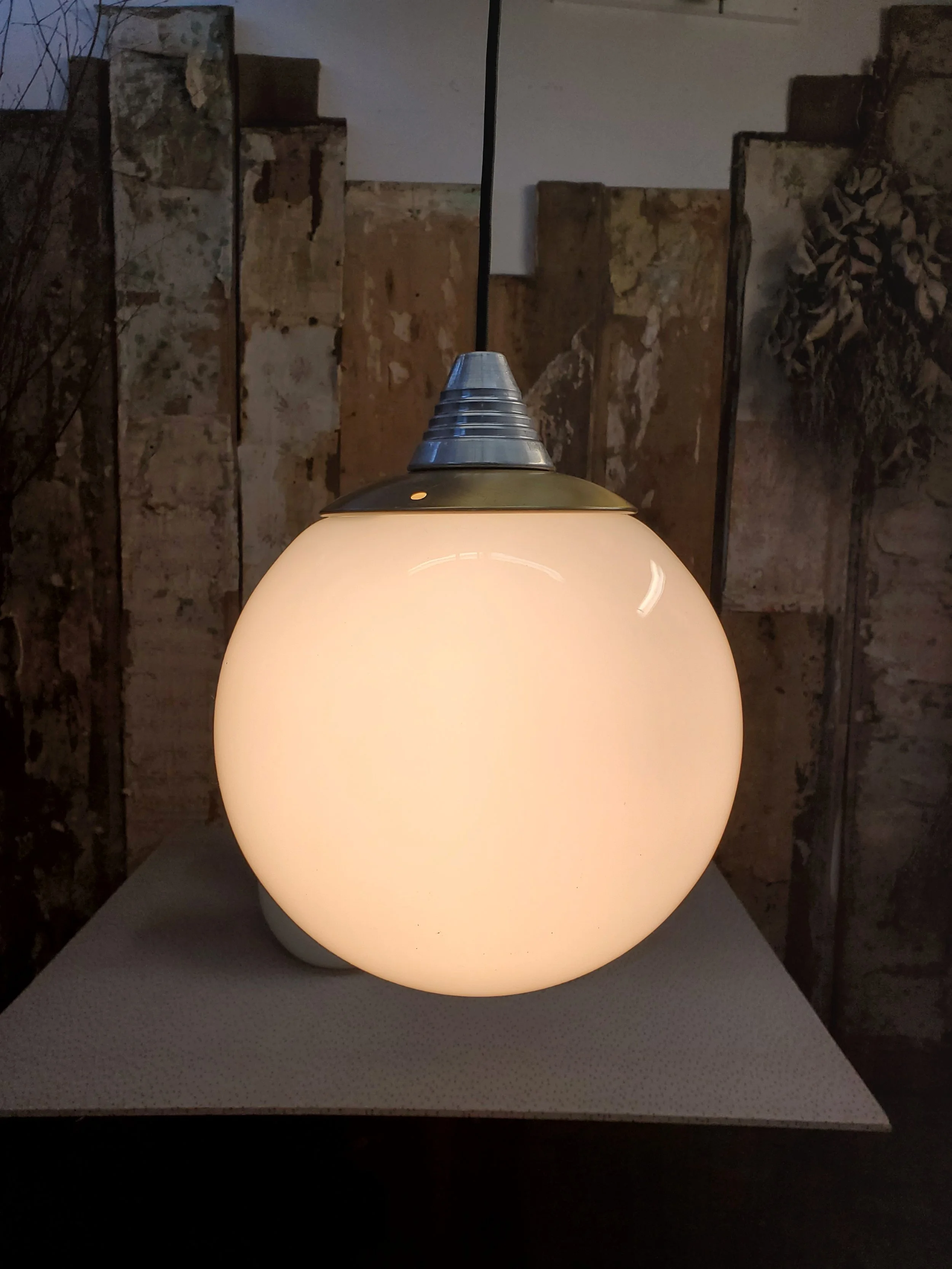 2026-02-24 14.43.30.jpg