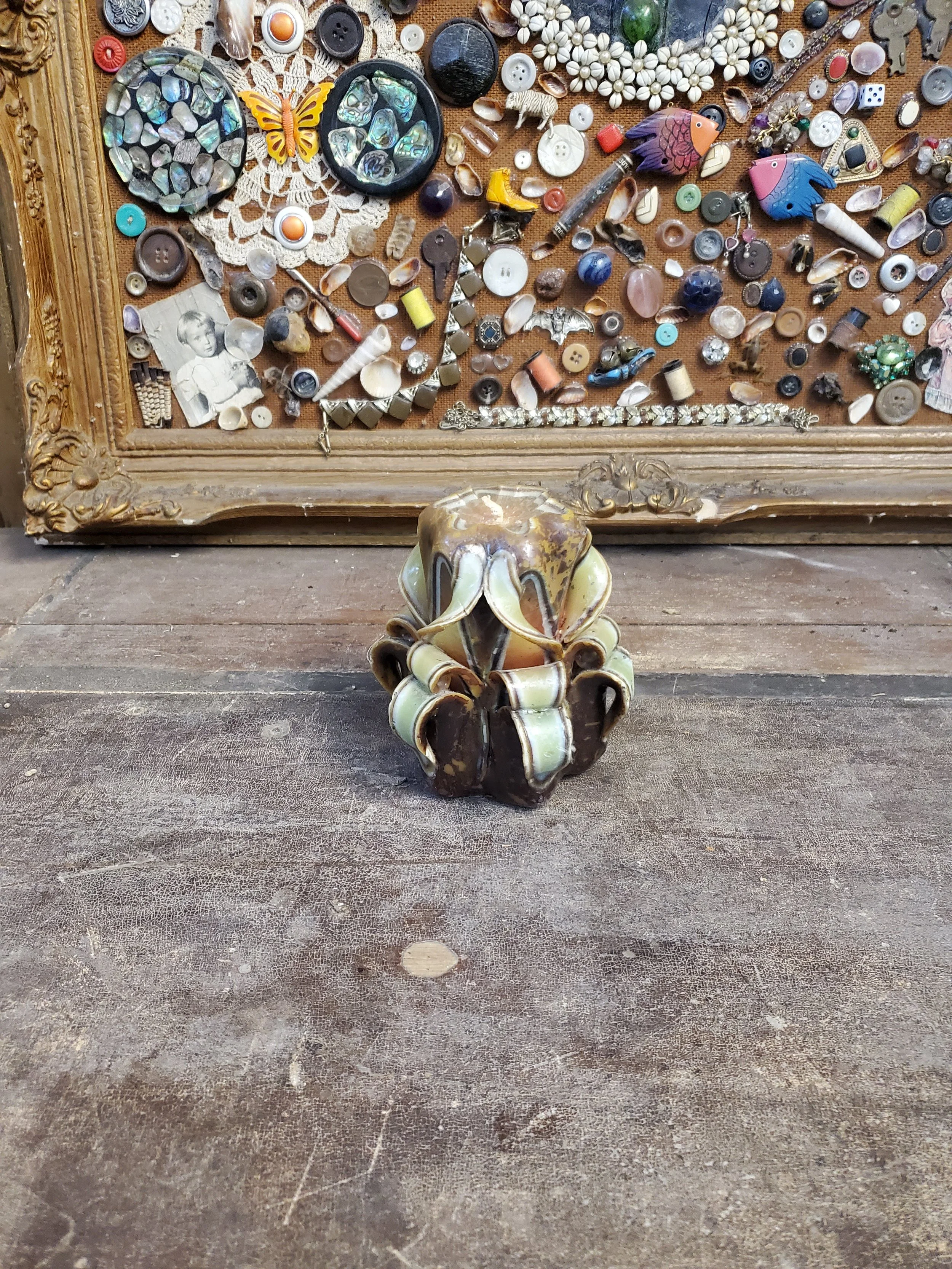 2026-02-09 10.06.06.jpg (copie)