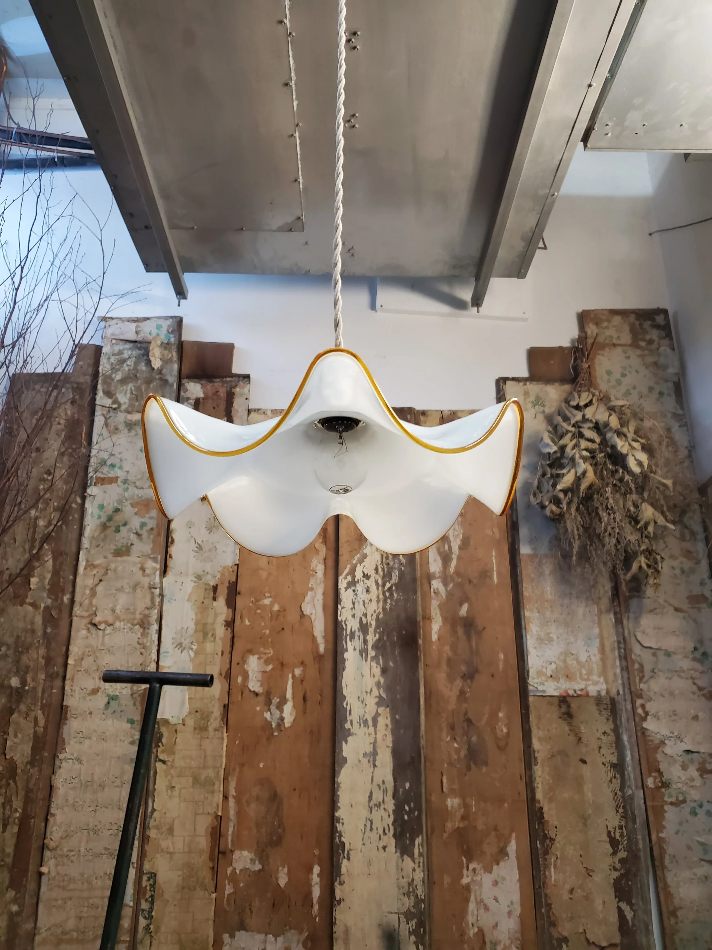 2026-01-23 15.11.45.jpg (copie)