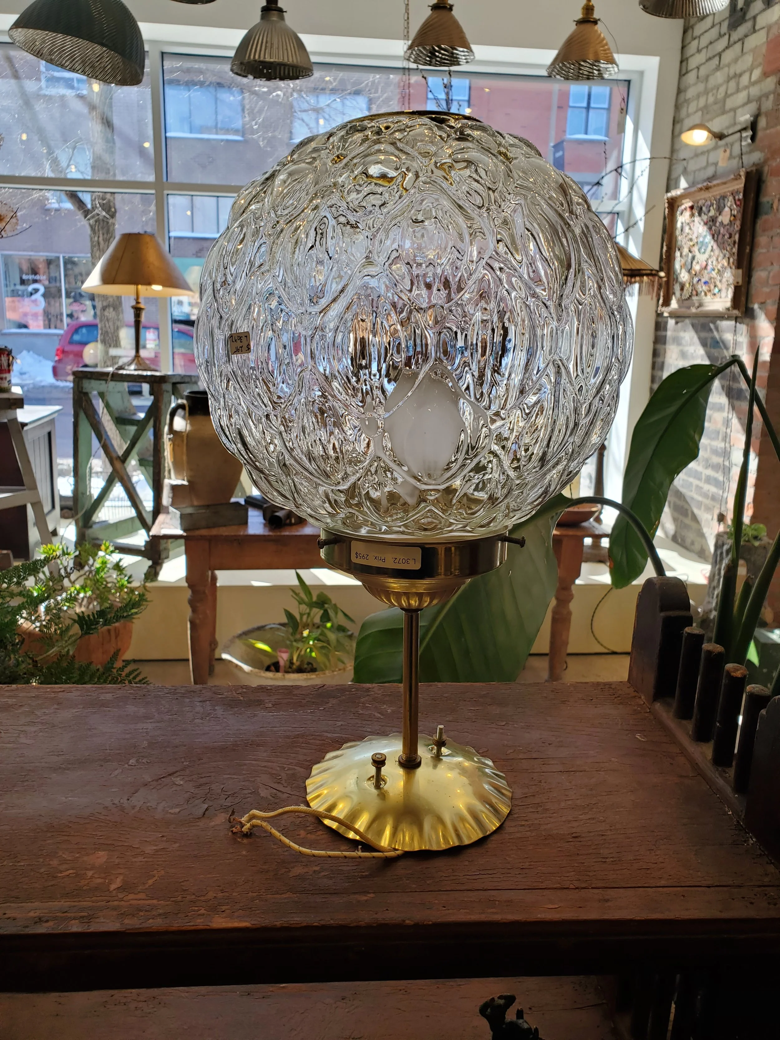 2026-02-15 11.59.59.jpg (copie)