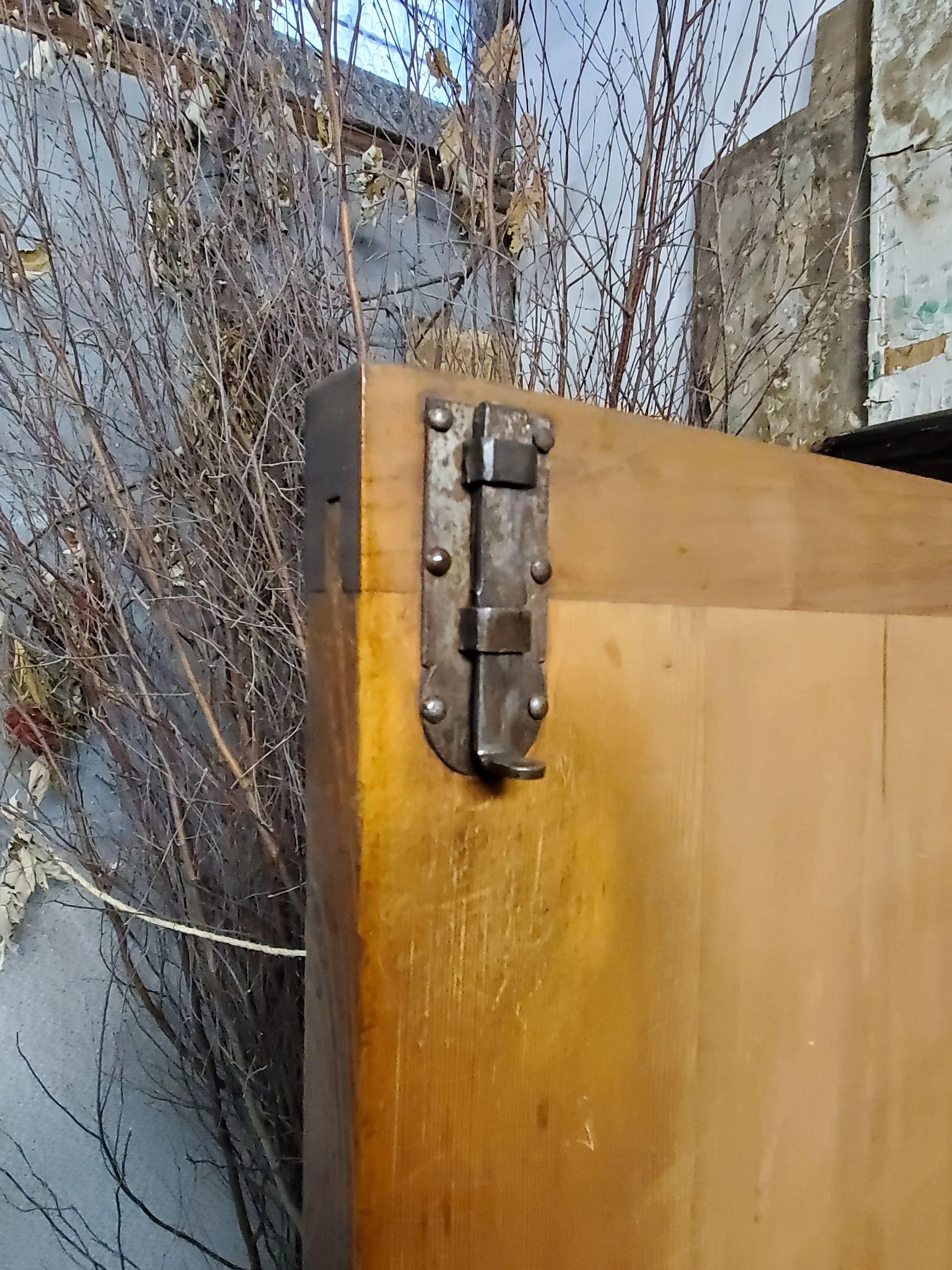 2026-02-10 16.25.30.jpg (copie)