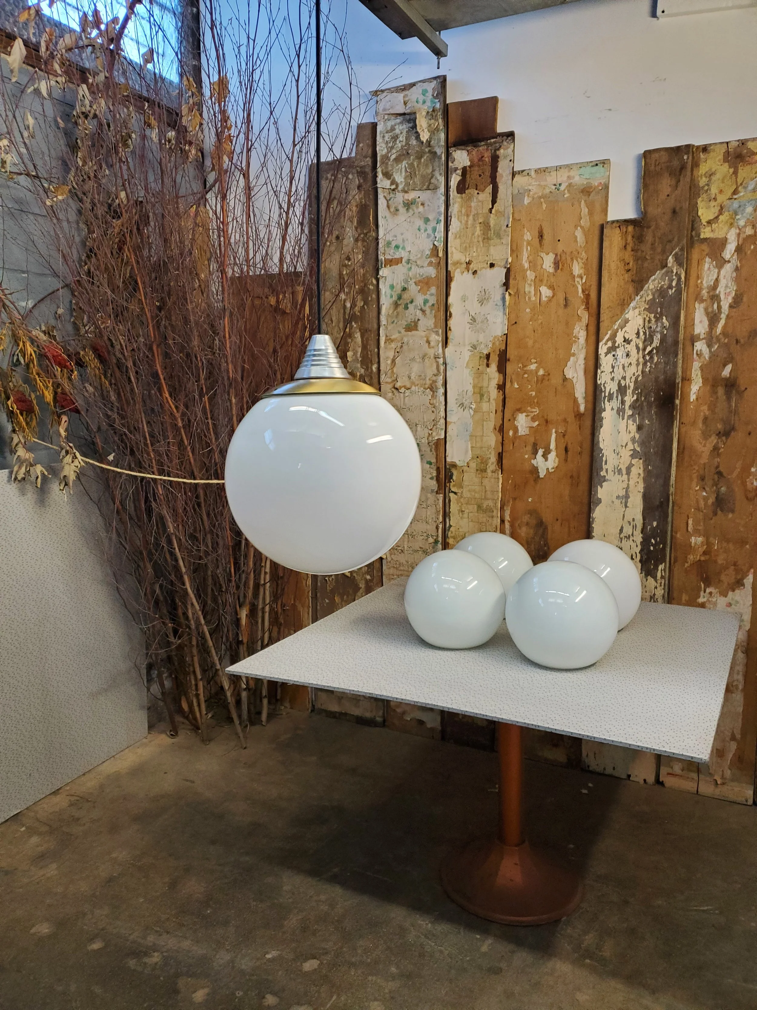 2026-02-24 14.44.42.jpg