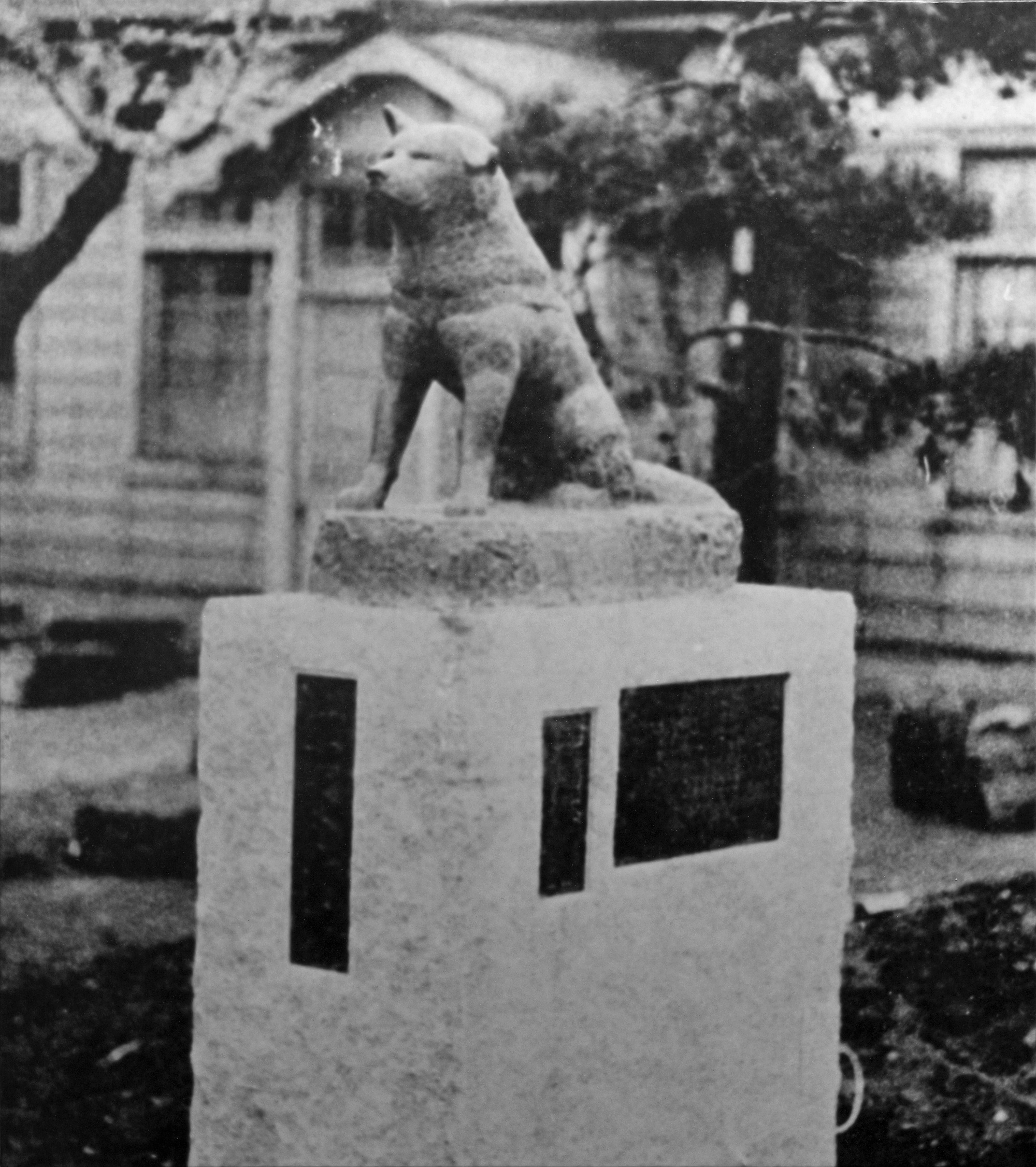 image1-4.jpeg