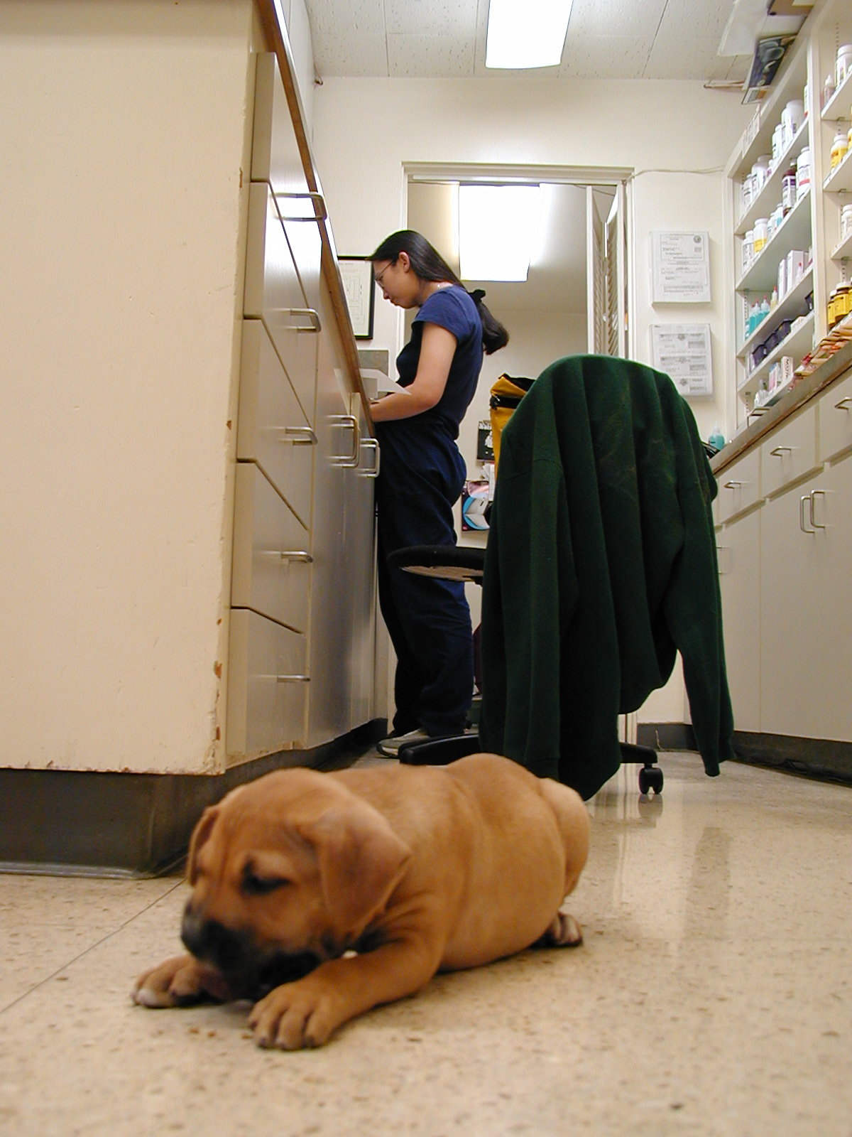 Another day at the clinic: baby Elaine with Dr. Tran working in the background, 2002.