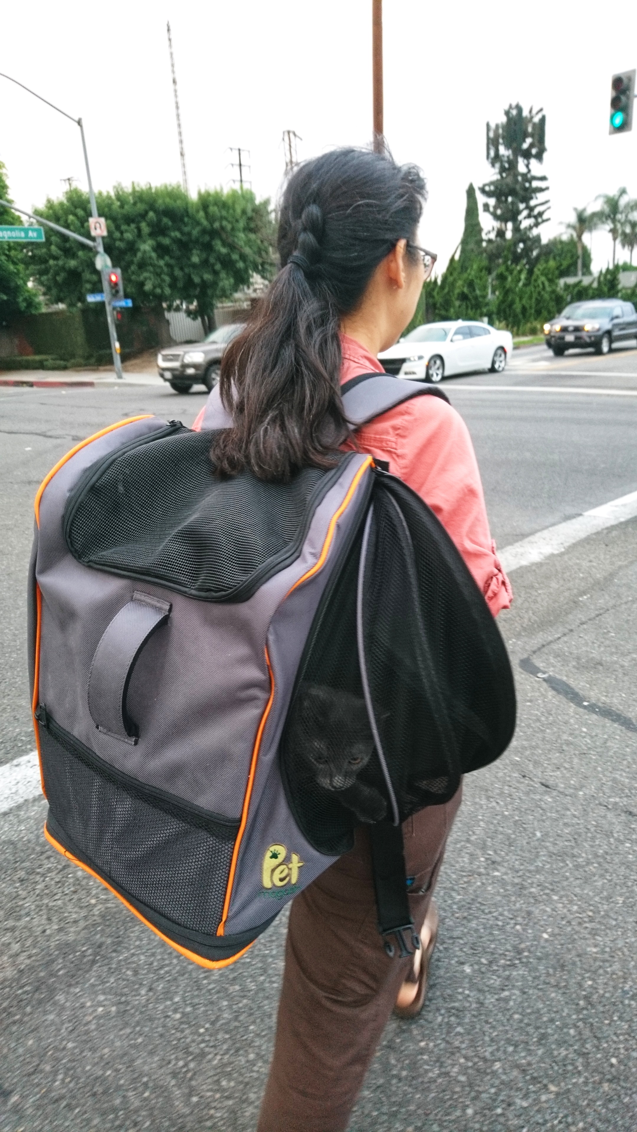 Difficult urban environments such as crossing a busy street with your cat become as easy as wearing a backpack!