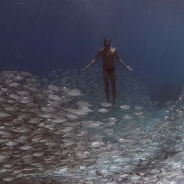 ABOUT — The Bucket List Family