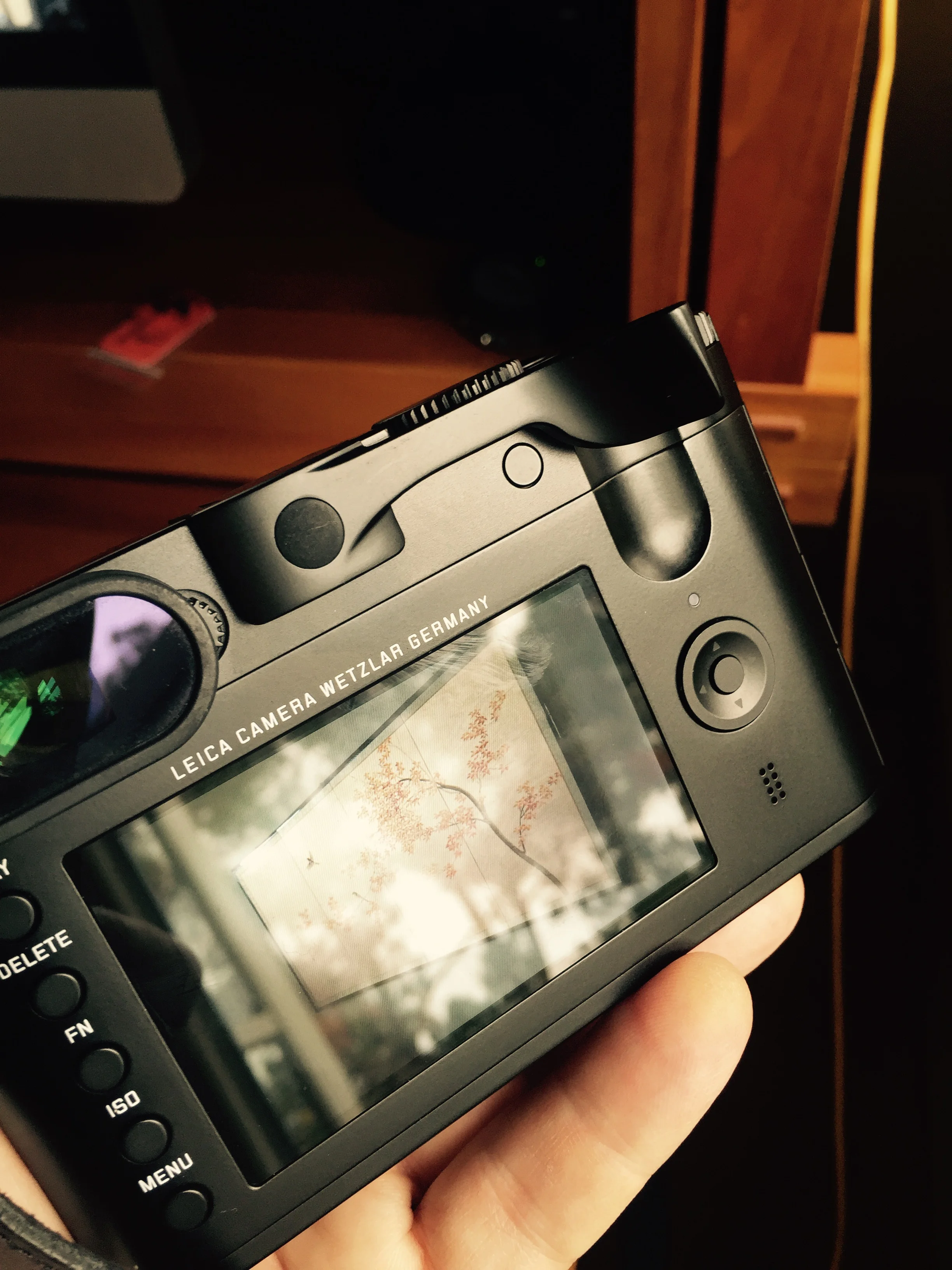 Thumbs Up for Leica Q, 2015.