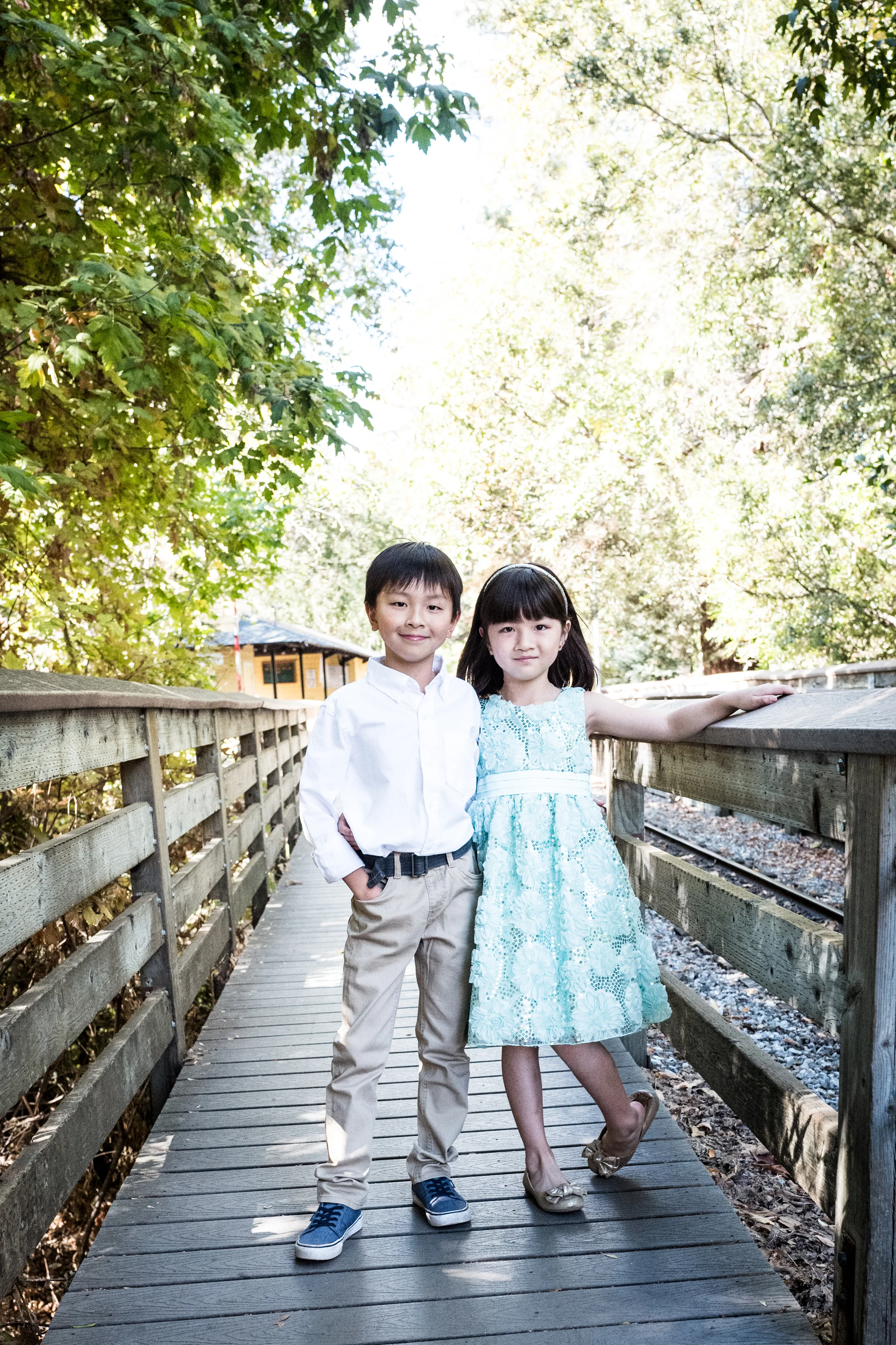 Los Gatos, 2015