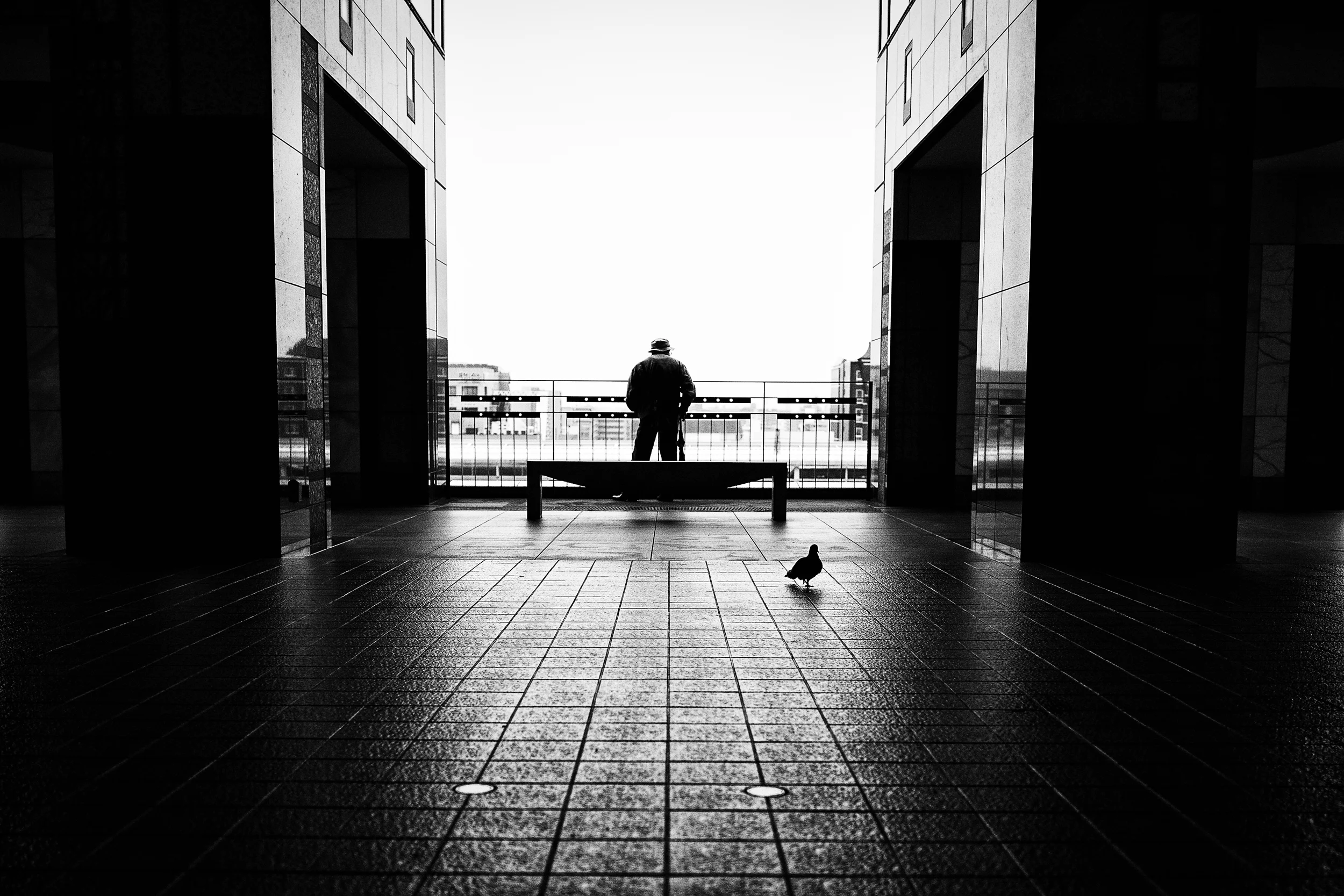 Kyoto, 2015