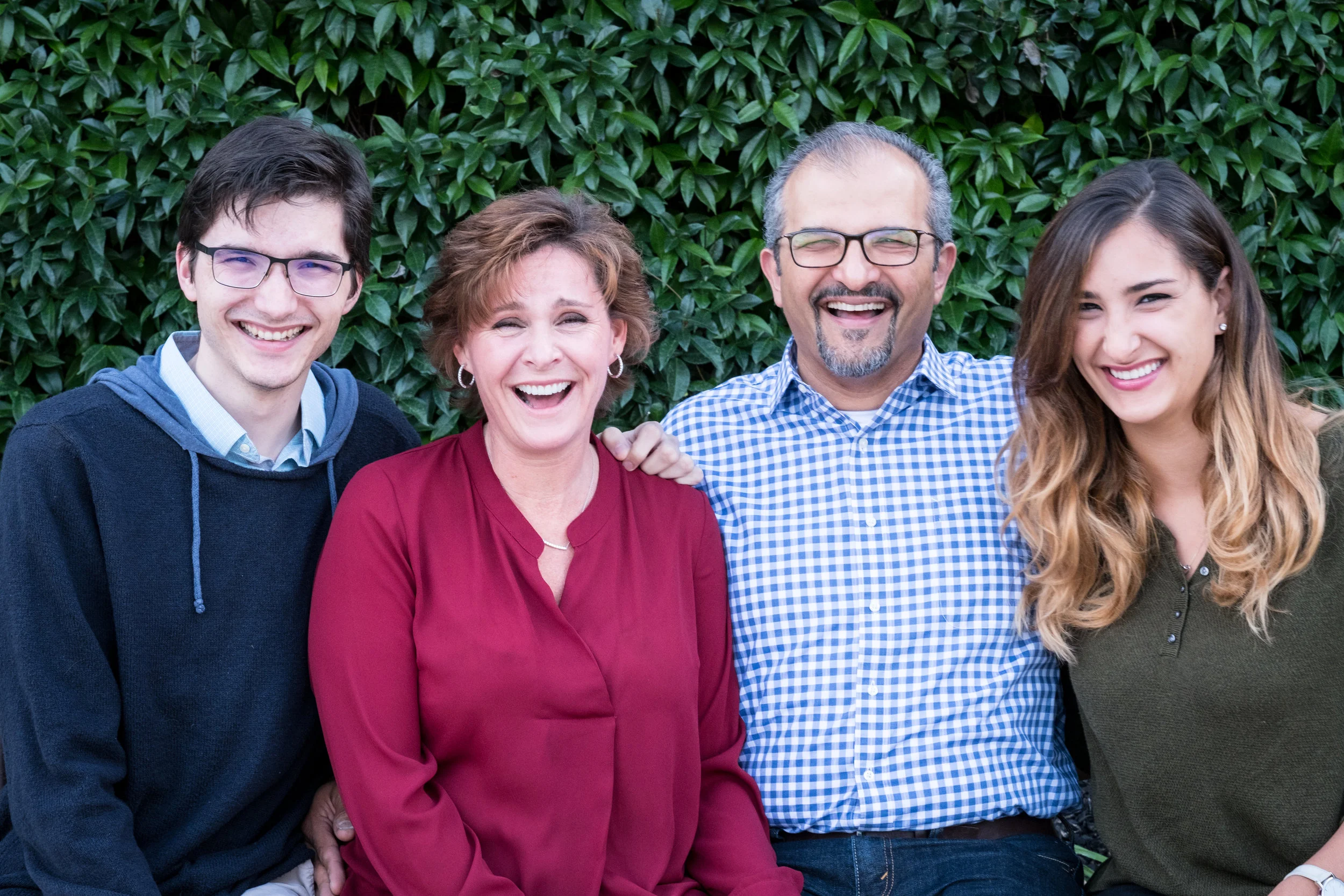 Los Gatos, 2016