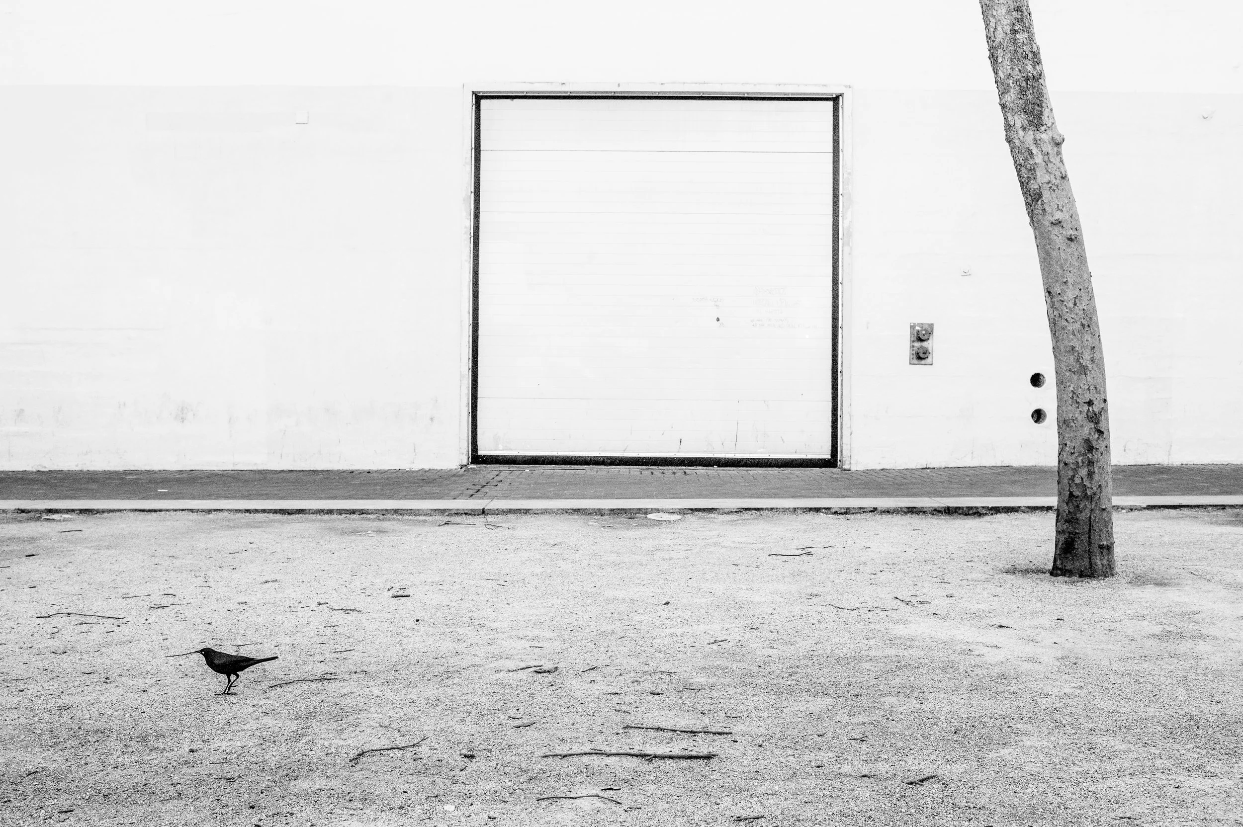 SF | 2015