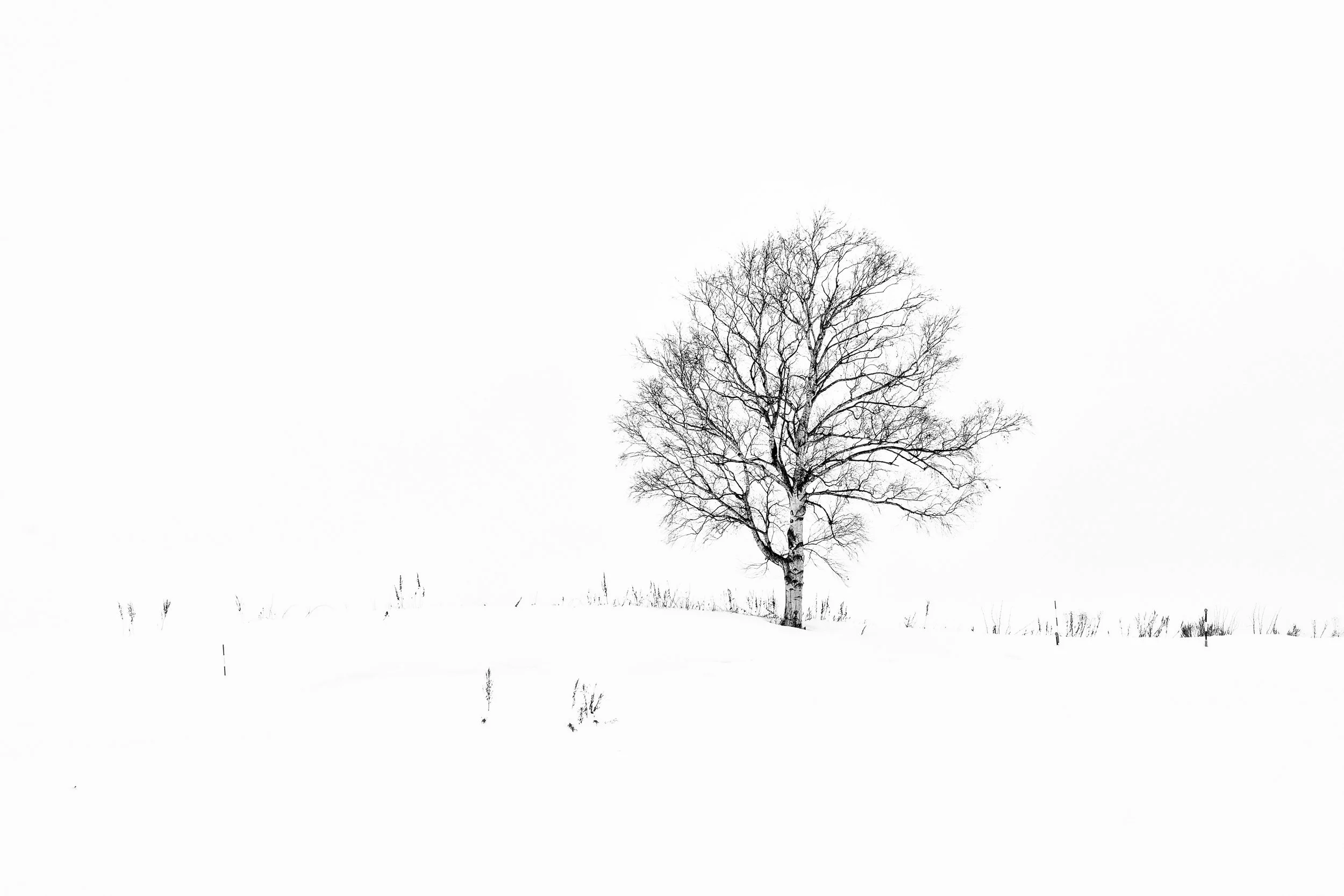 DSCF5617-Edit.jpg