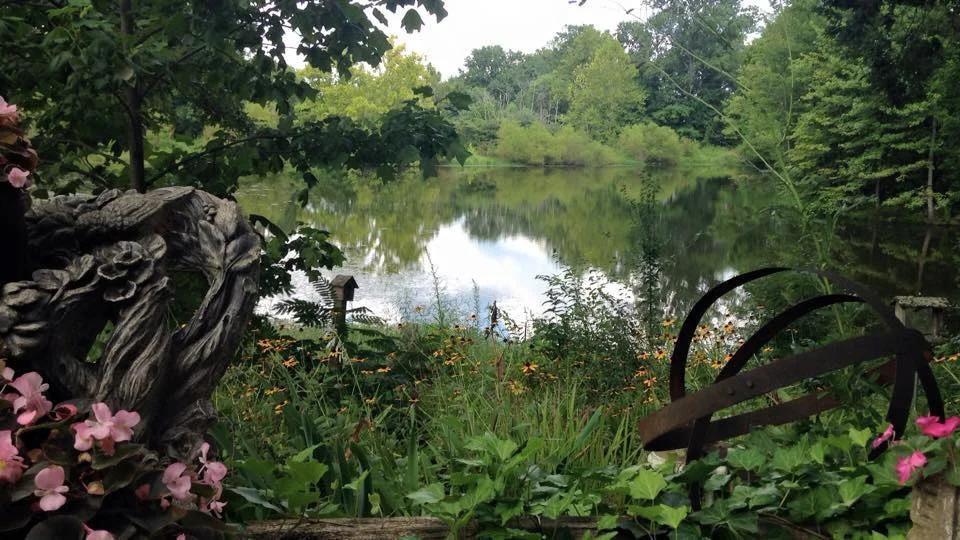 This is my parents' back yard. It's seriously enchanted.