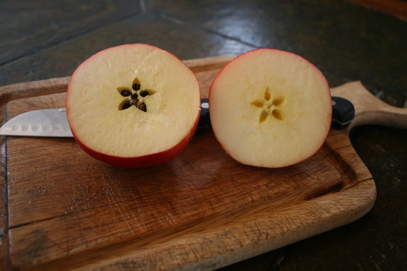 Sacred apples.