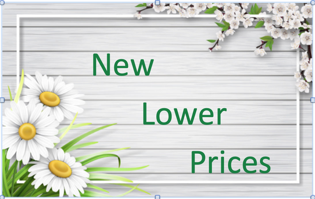 real-kind-lower-prices-spring-2019-mosquito-tick-skincare-organic-natural-pagan-salt-scrub-cleanser-oil.png