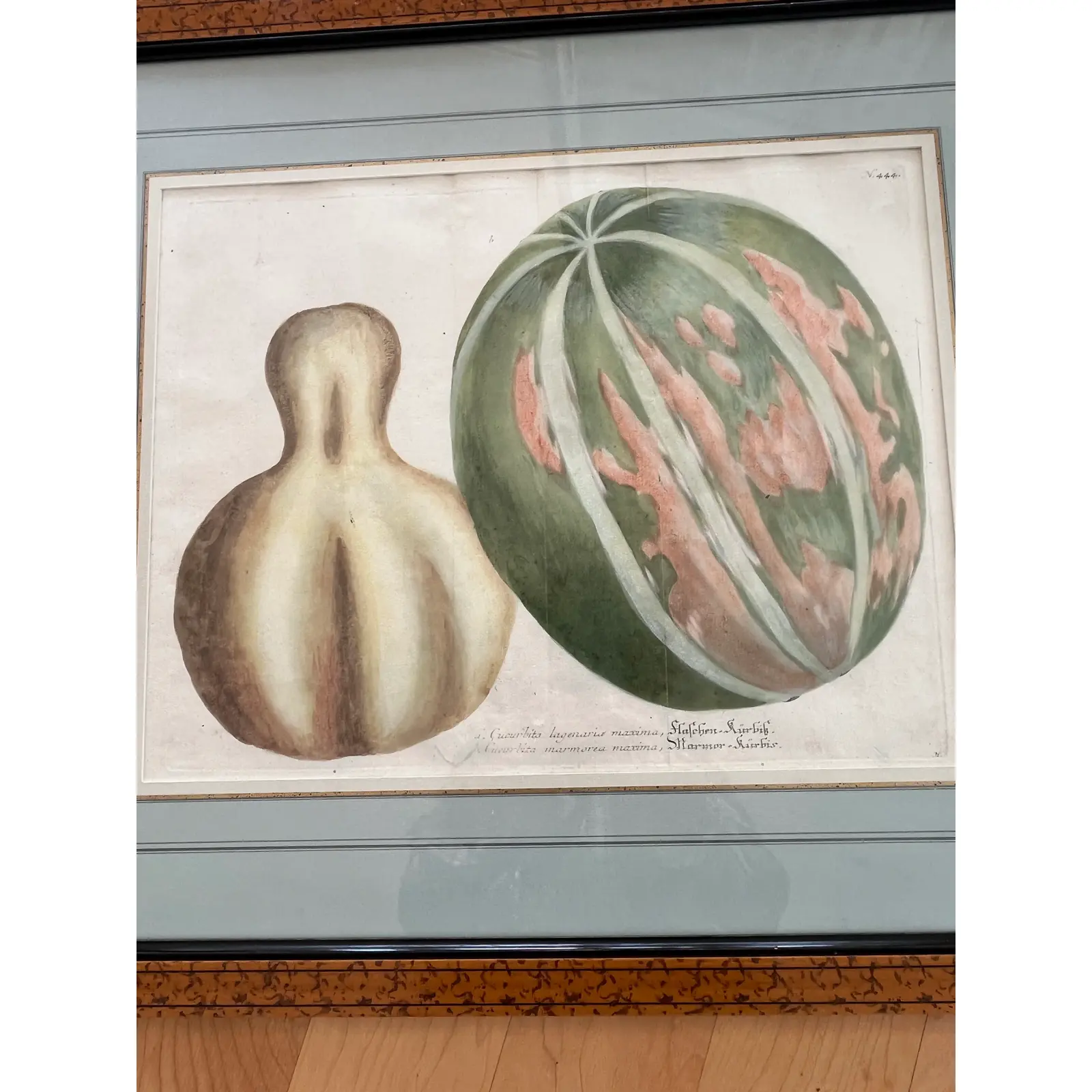 pair-2-matted-and-framed-botanical-engravings-of-gourds-5124.jpg