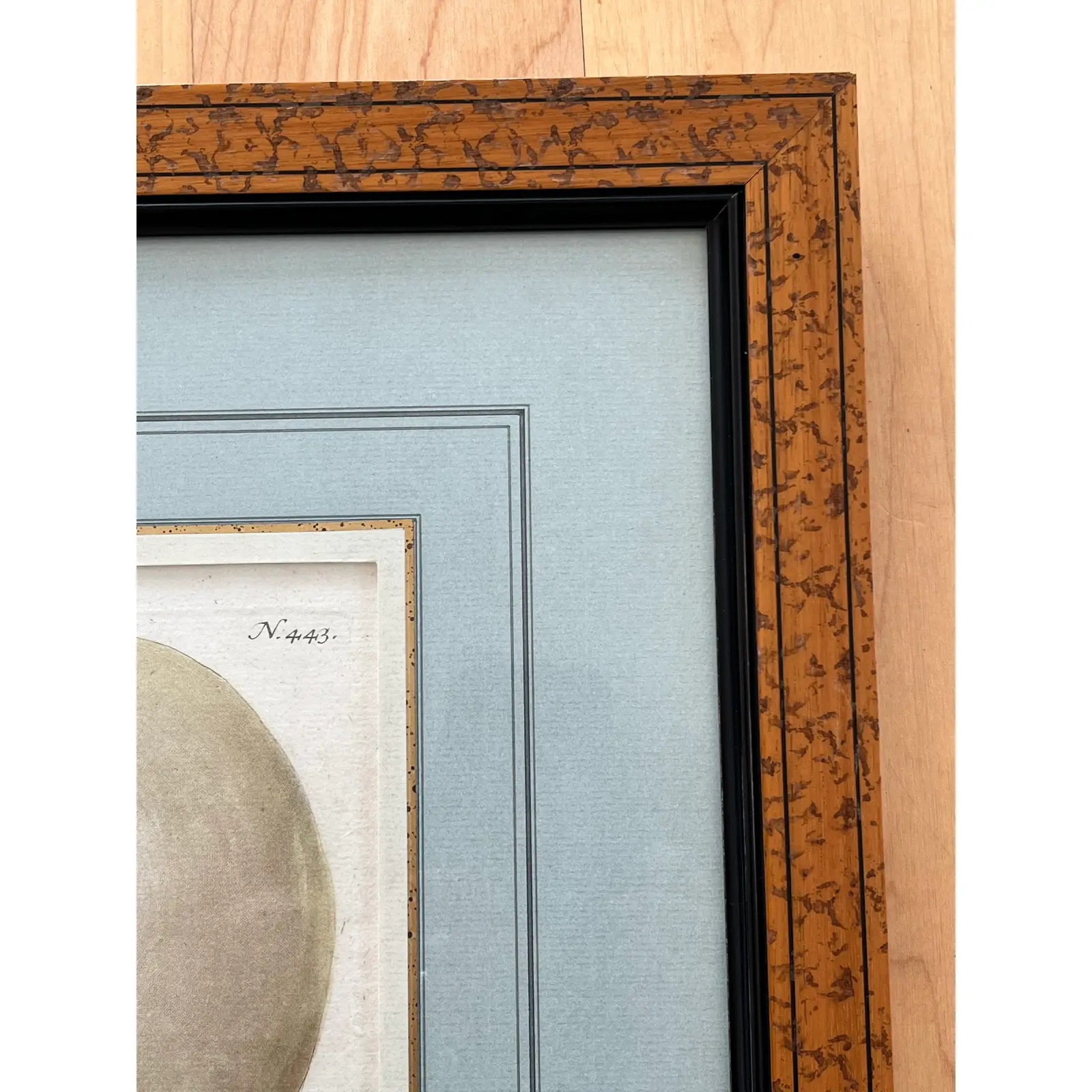 pair-2-matted-and-framed-botanical-engravings-of-gourds-4693.jpg