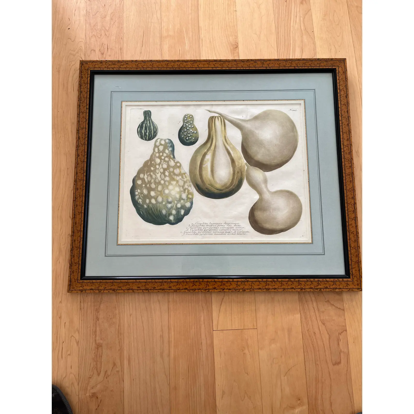 pair-2-matted-and-framed-botanical-engravings-of-gourds-5218.jpg