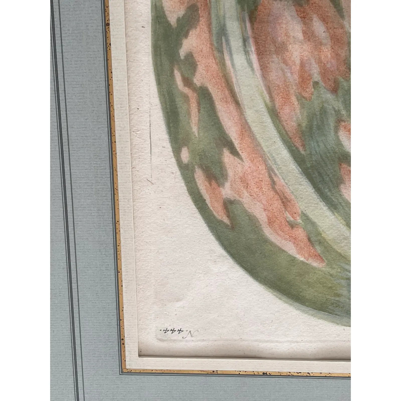 pair-2-matted-and-framed-botanical-engravings-of-gourds-0439.jpg