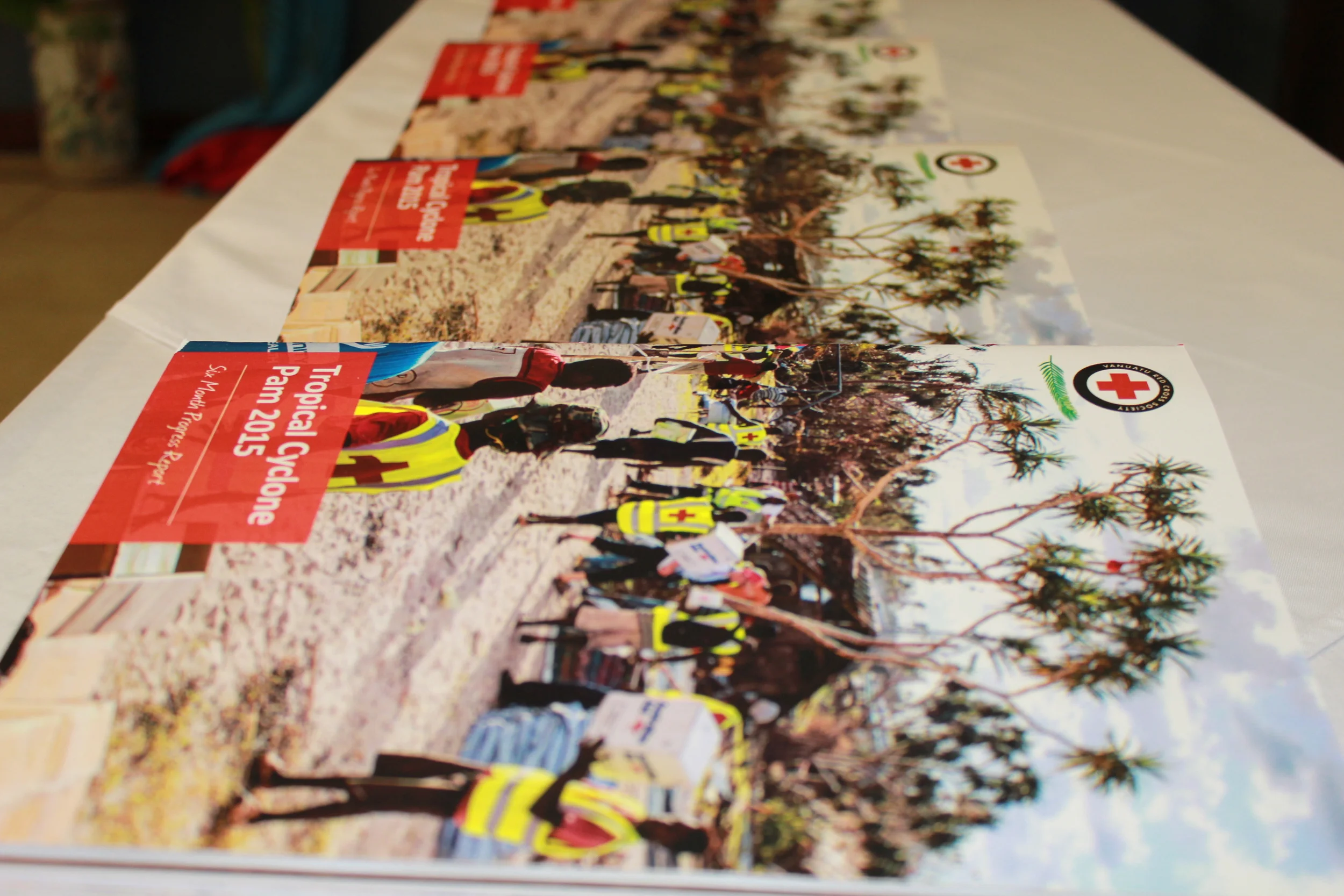 Tropical Cyclone Pam: Six Month Progress Report Launch