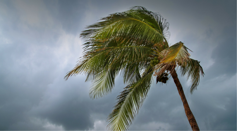 Cyclone Winston Emergency Appeal: Donate now to help Fiji